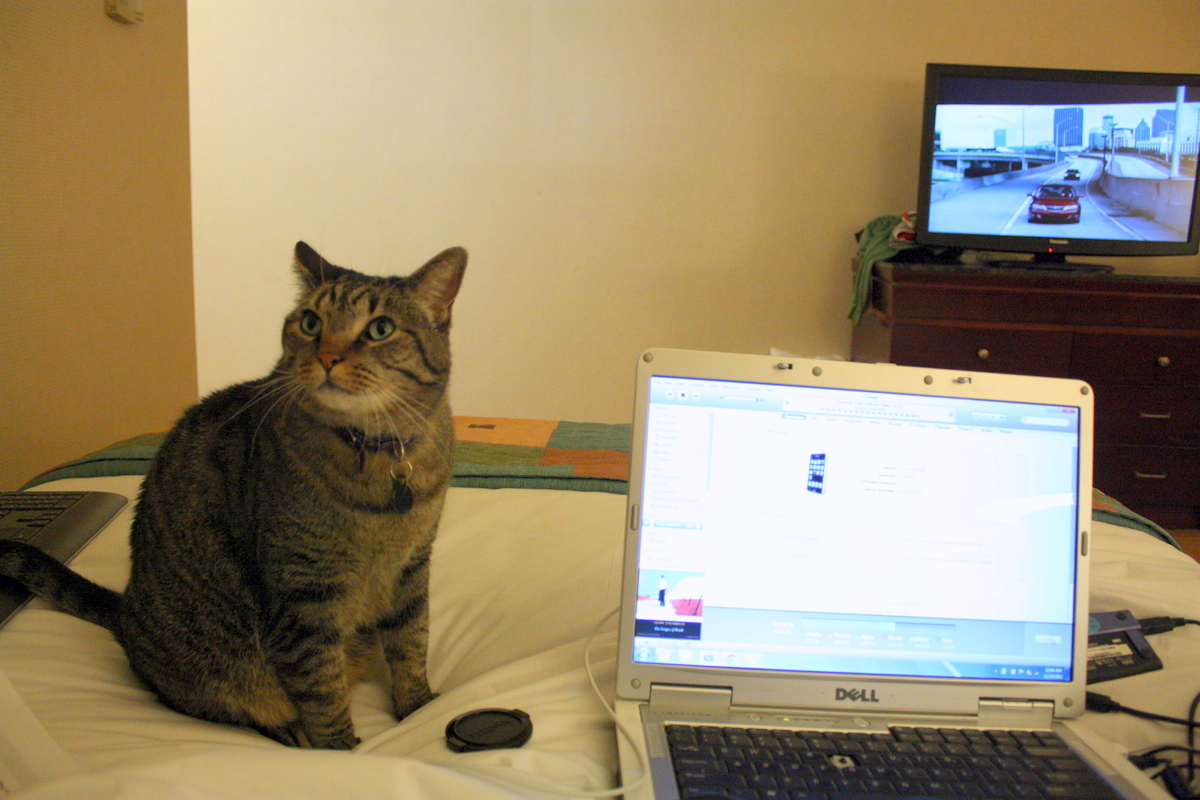  Arrived in Bakersfield for an evening of TV and in-room wifi. Baby by now had adjusted to the road or we had effectively broken his spirit as it took only minutes for him to transition from cowering to exploring. Heather had a good idea, and so, in 