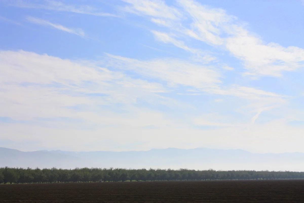  Orchards made impressionistic by the Central Valley tule fog. http://en.wikipedia.org/wiki/Central_Valley_(California)#Tule_fog 