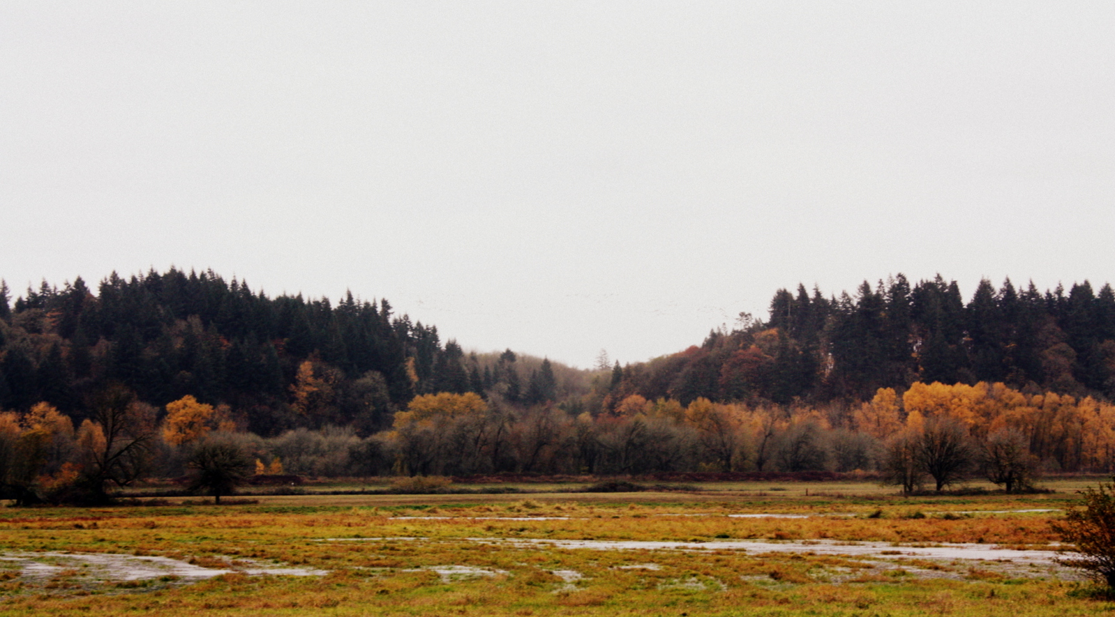 A break from the road at Ridgefield National Wildlife Refuge 