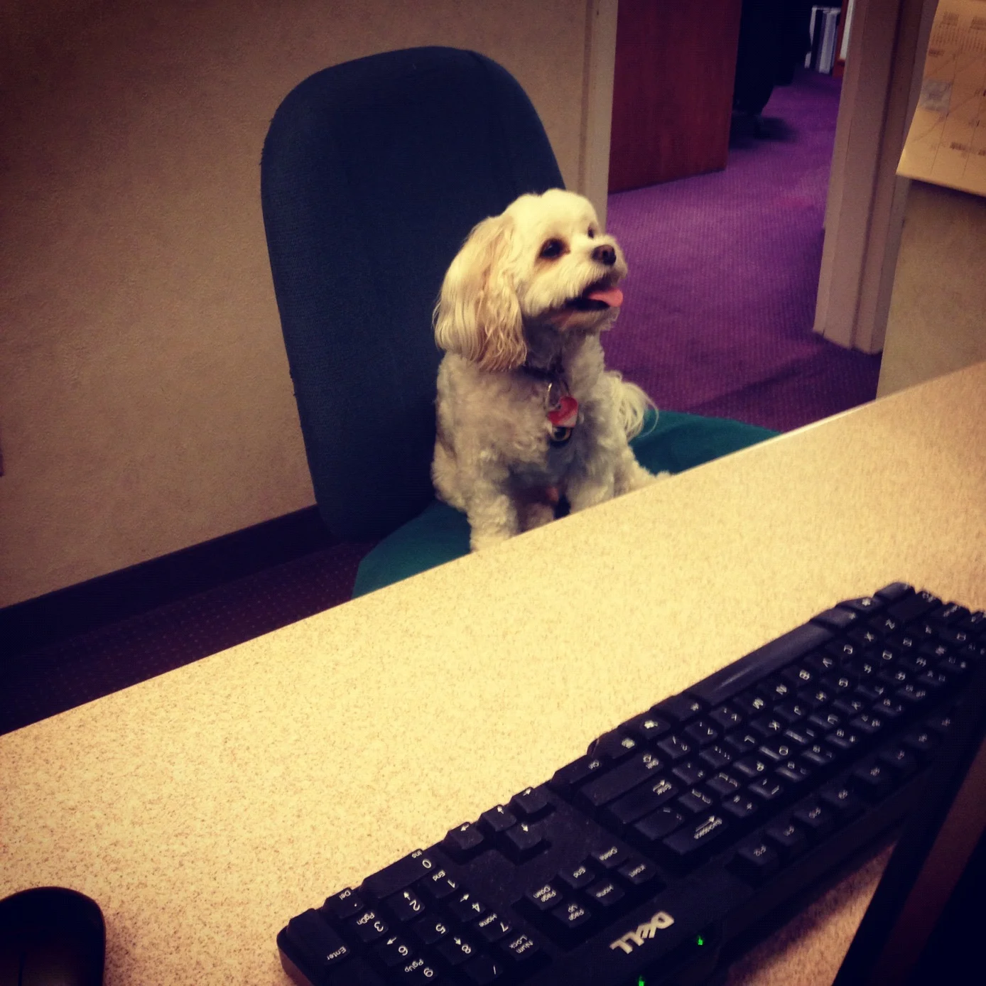  Cheerful hotel staff 