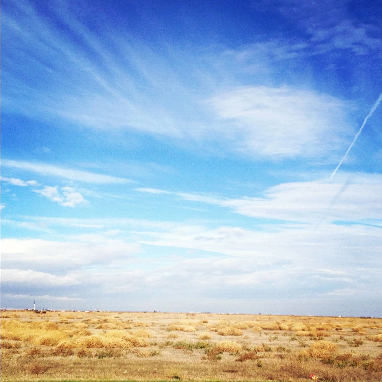  I took a break from driving for a day to check out some of the wildlife refuges in northern California. 