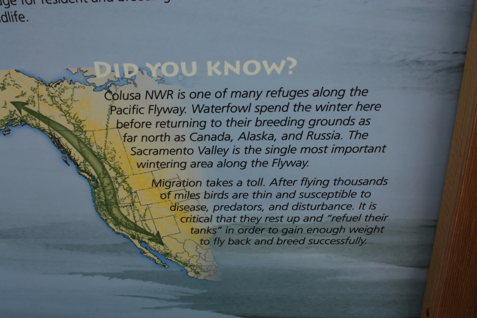  First stop: Colusa Nat'l Wildlife Refuge 