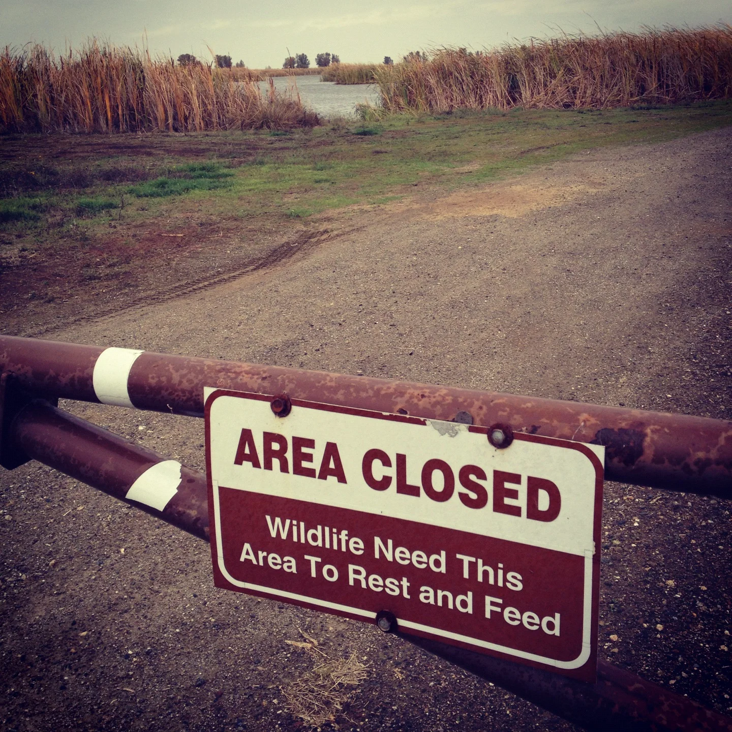  No go to Delevan NWR 