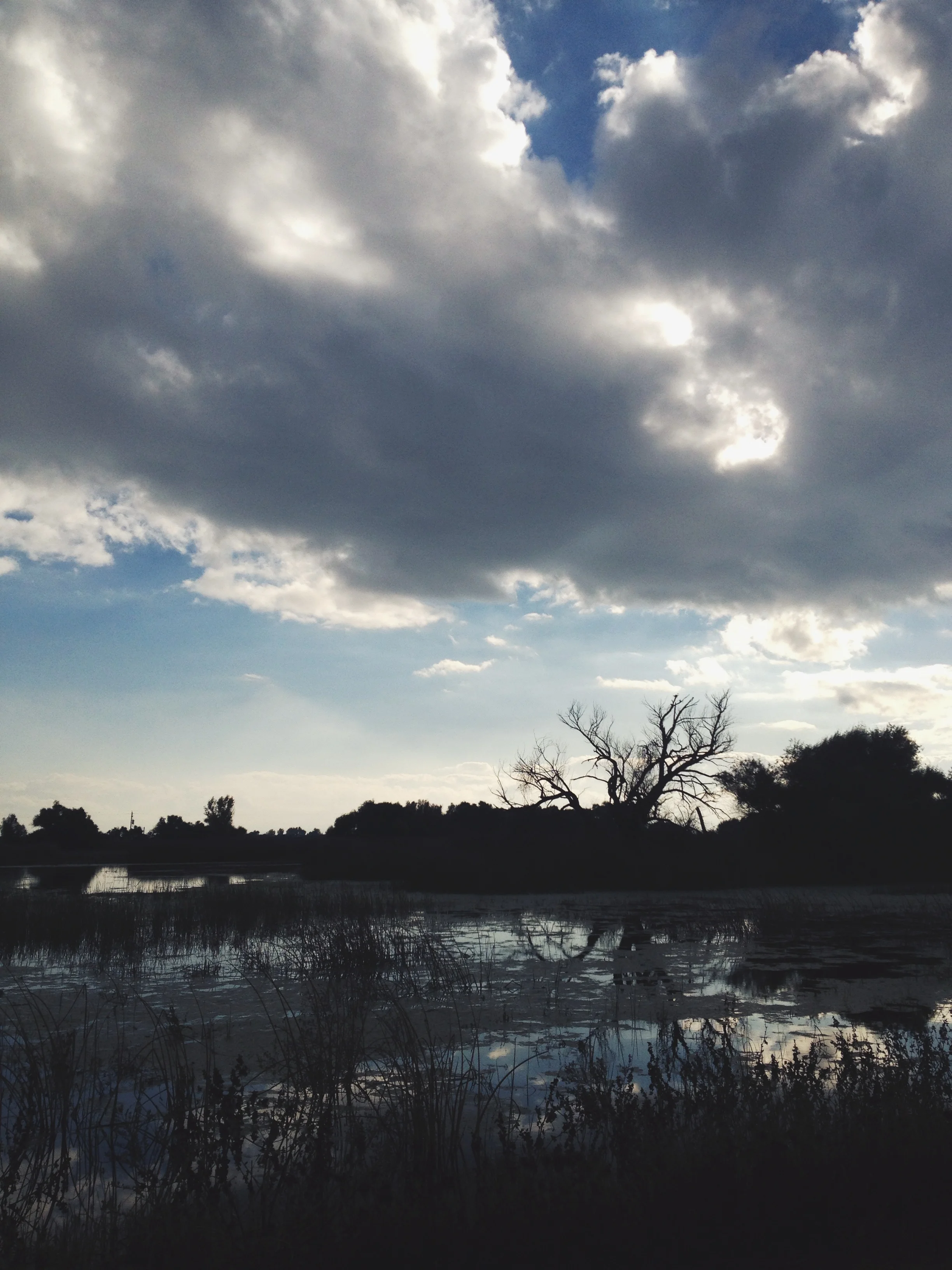  This day's stop was the San Luis National Wildlife Refuge. 