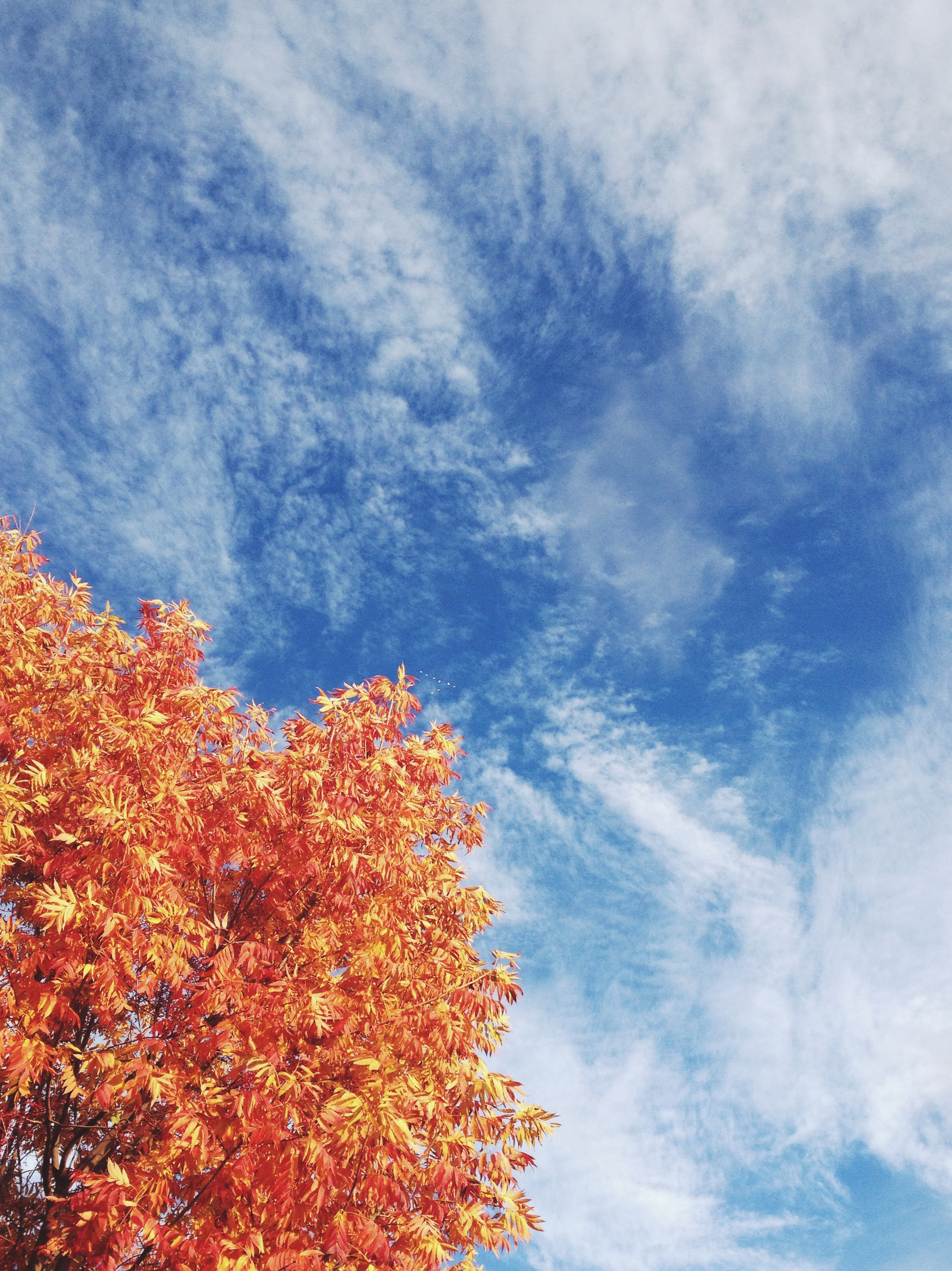  Up early for a jog in Willows, CA 