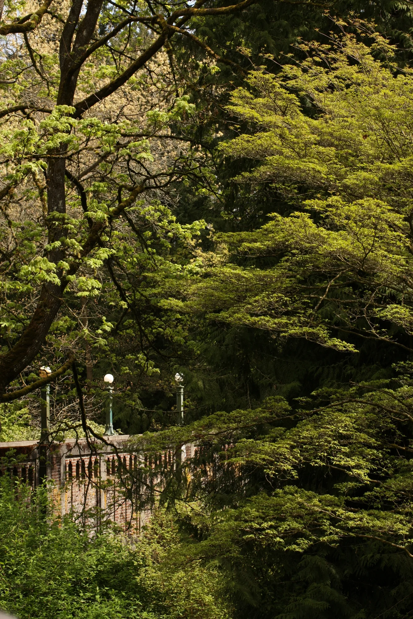 Field Trip to Tiny Town