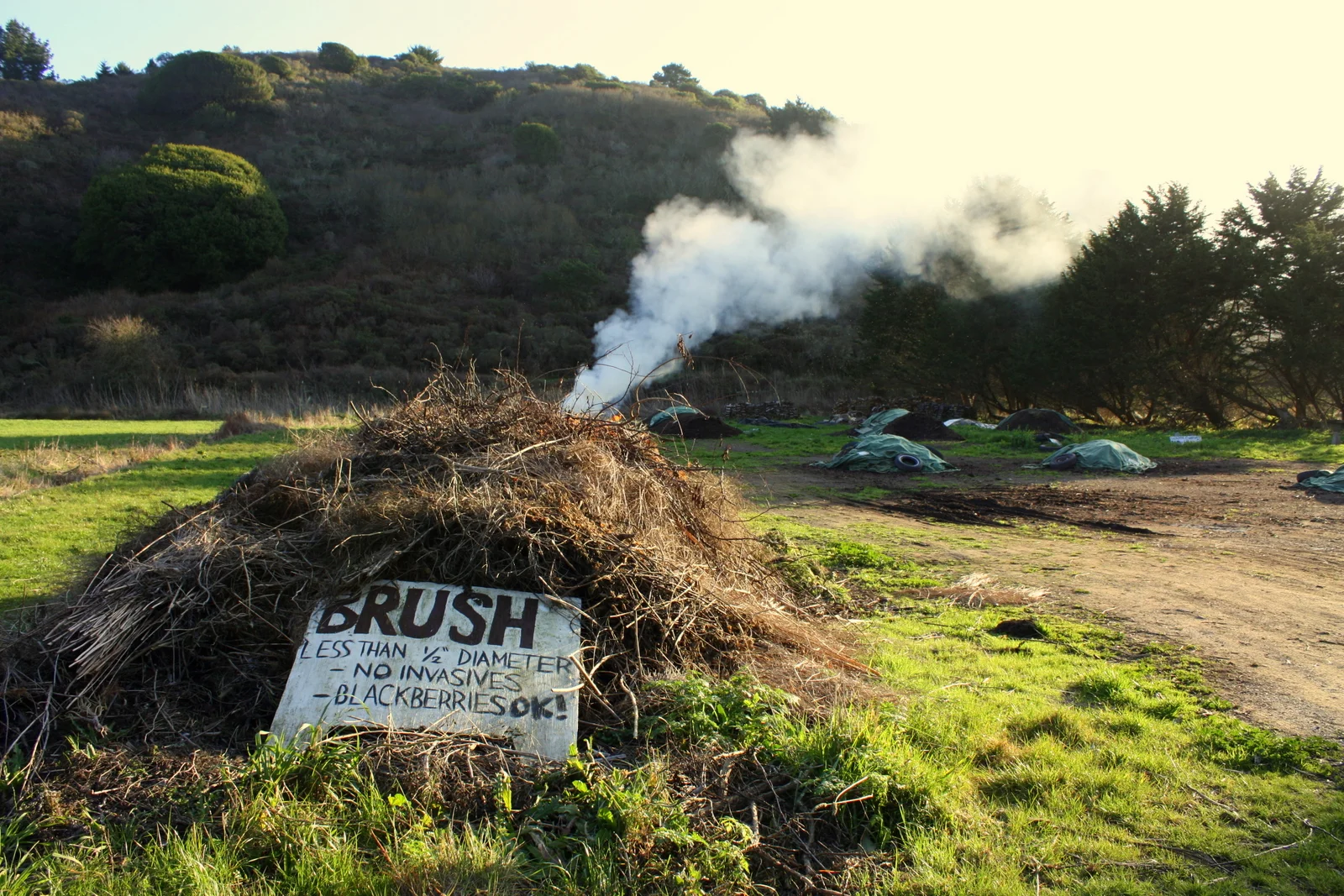  And a second on-the-nose favorite quote to go with what I saw there! "When you do something, you should burn yourself completely, like a good bonfire, leaving no trace of yourself." — Suzuki Roshi 
