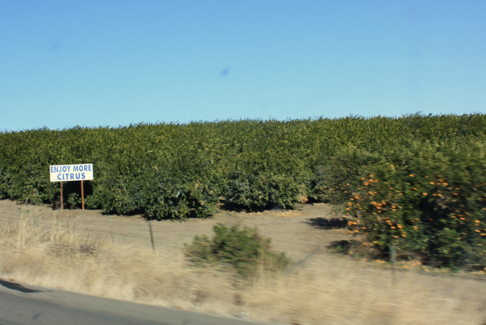  Some signs, though, took a less inflammatory stance. 