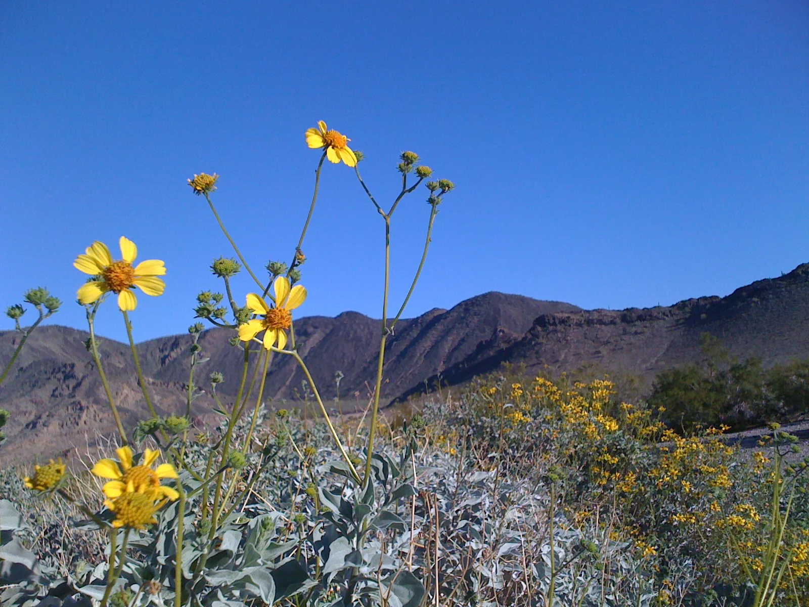 PHX-SEA Road Trip 2012