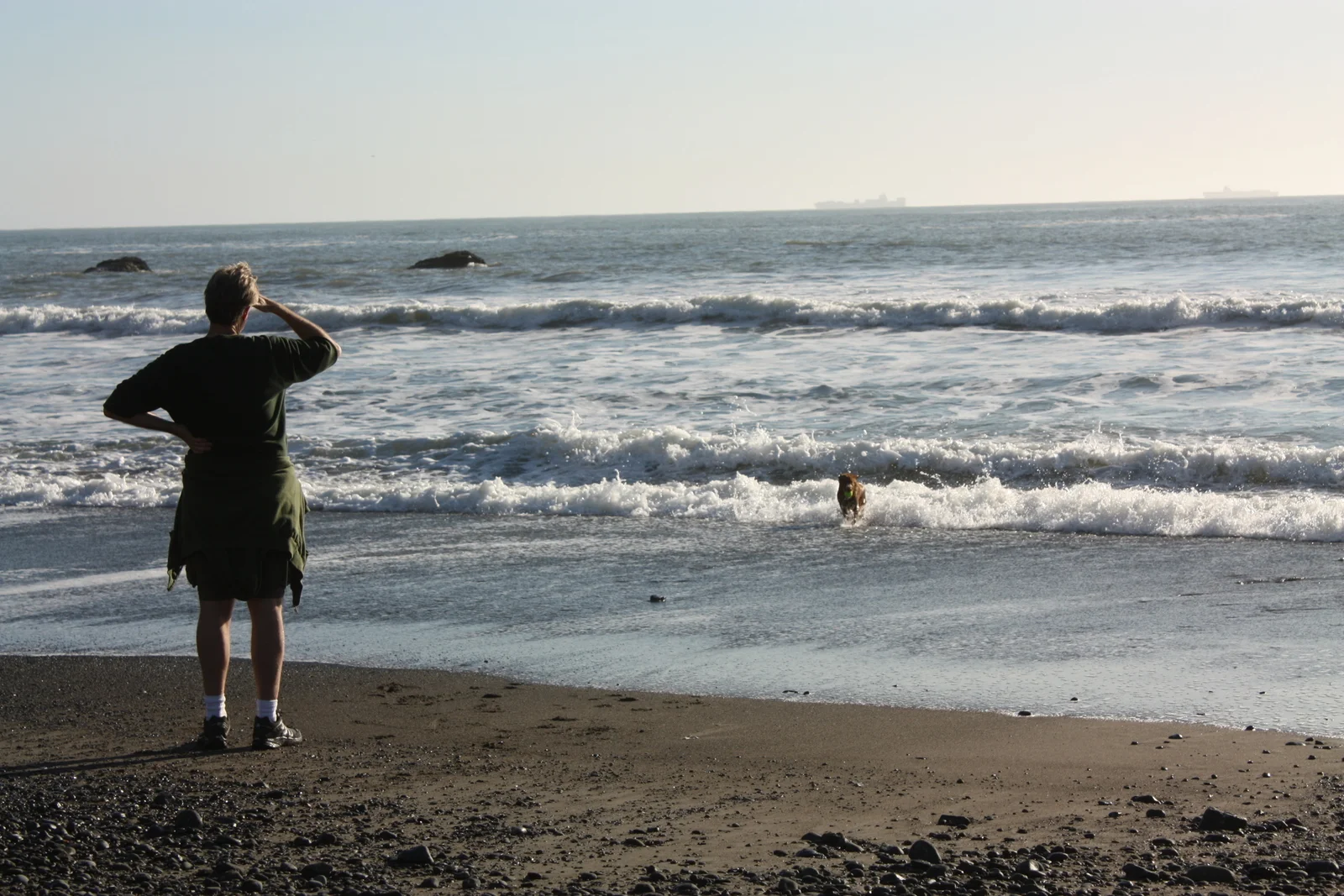  Mesmerized by dog fetching ball tossed into water. Like 100 times. Doggy paddle out out out, grab ball, doggy paddle in in in, drop ball near owner, shake shake shake. Repeat. He must sleep well. 