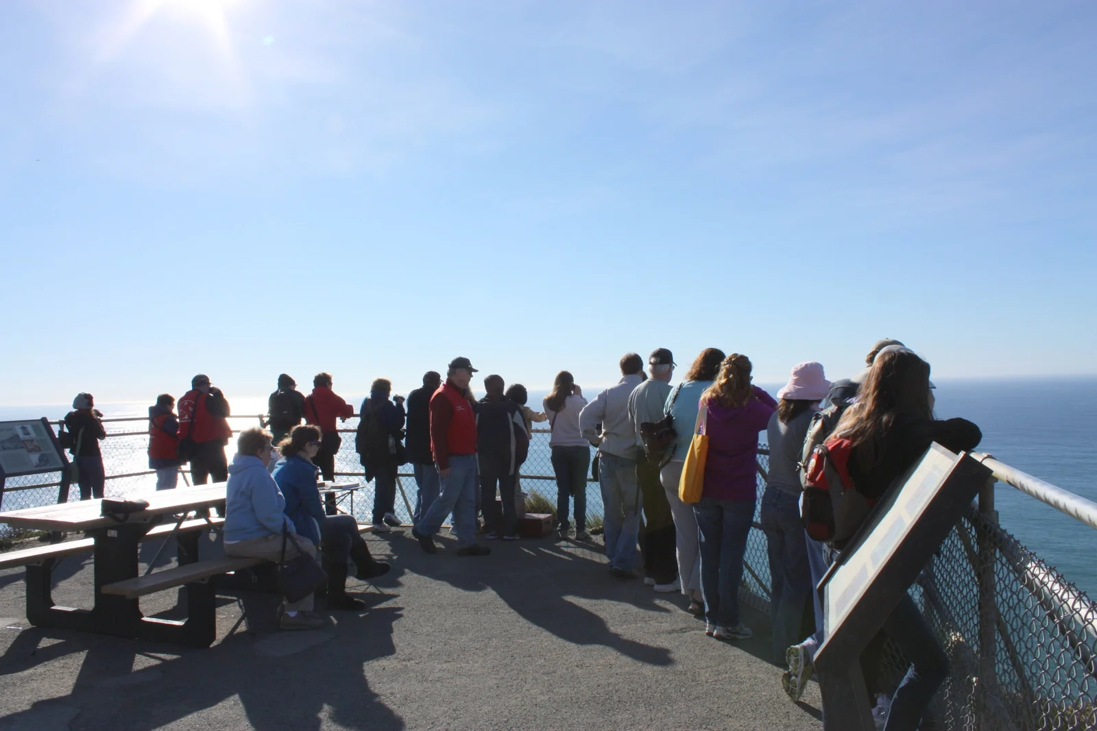 For some whale watching with everyone else. I did see one flume of gray whale splurting off in the distance while I was there. 
