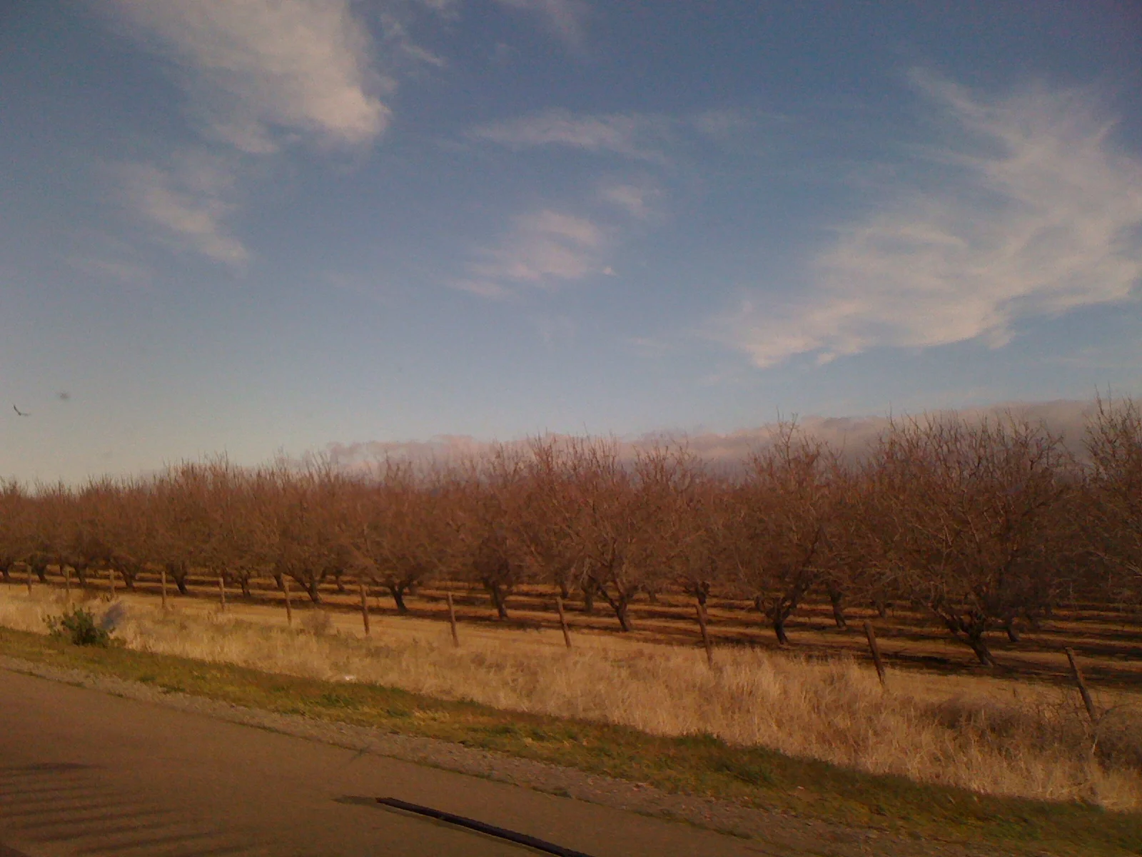  The drive through central CA is a drive through farmland farmland farmland. Almonds, pistachios, fruit. 