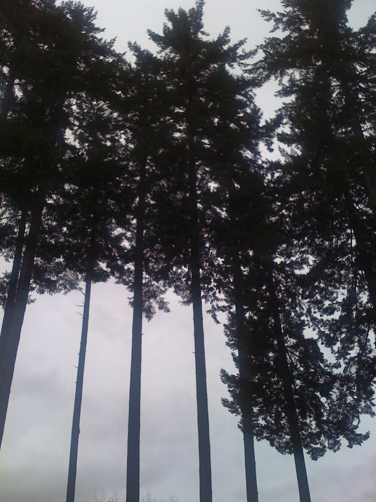  Chilly skies all through the rest of OR and southern WA the next day. 