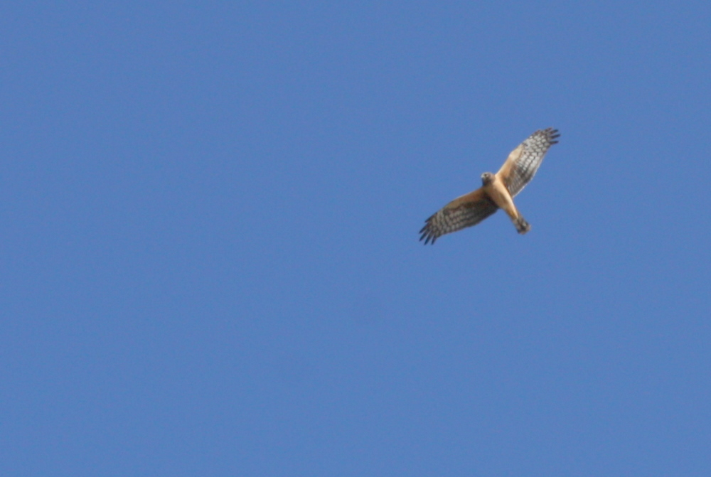 PHX-SEA Road Trip 2012