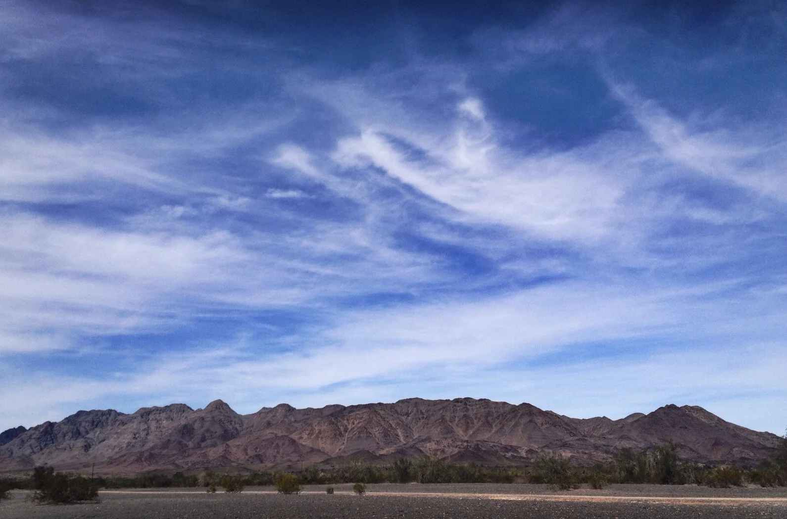  I made a stop at the Desert Lily Sanctuary again but it was a bust; I think I'm too early on these trips home. But I did see some great flora (and fauna) - see  this gallery here ! 