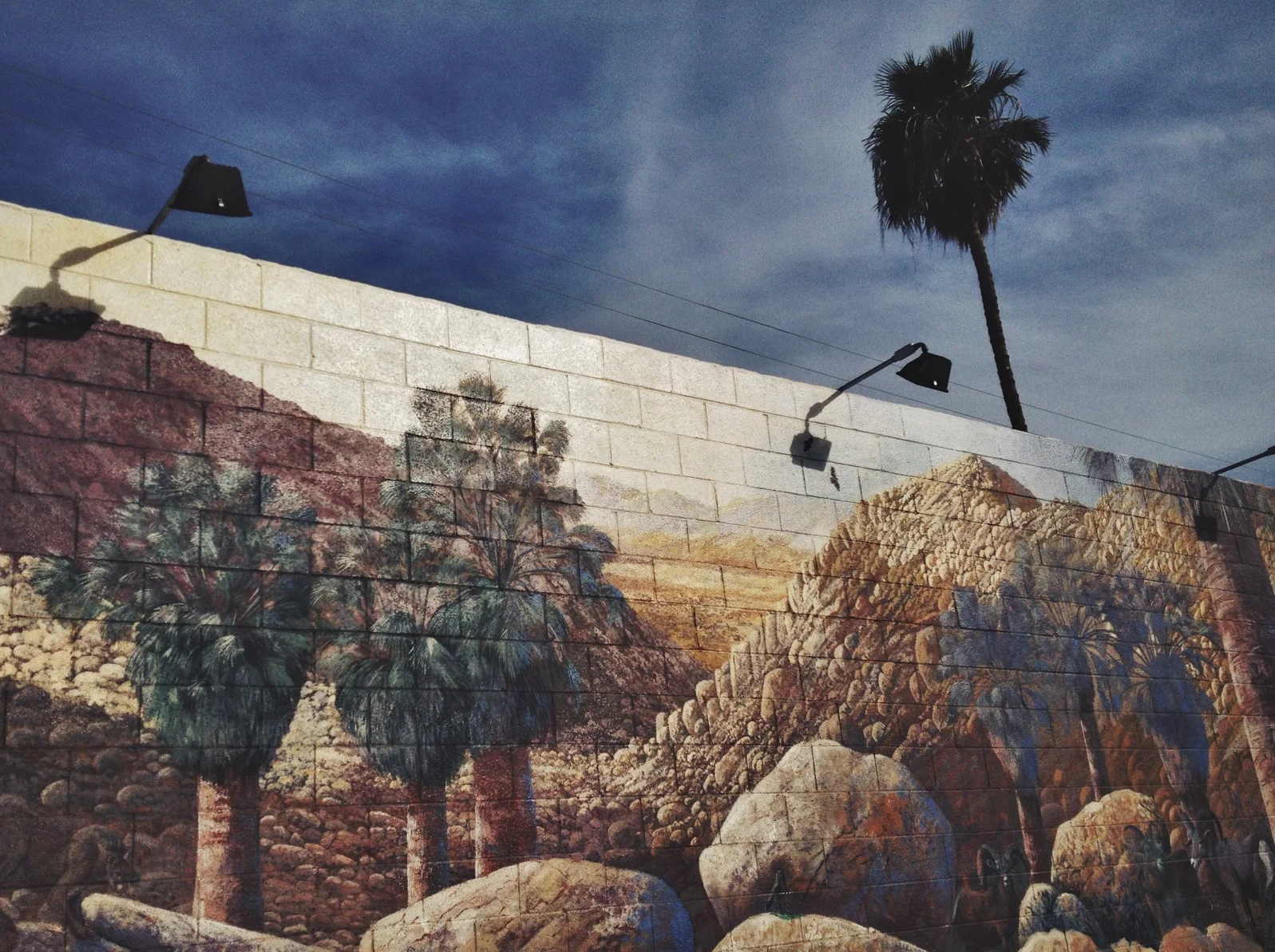  Seven of Twentynine Palms 