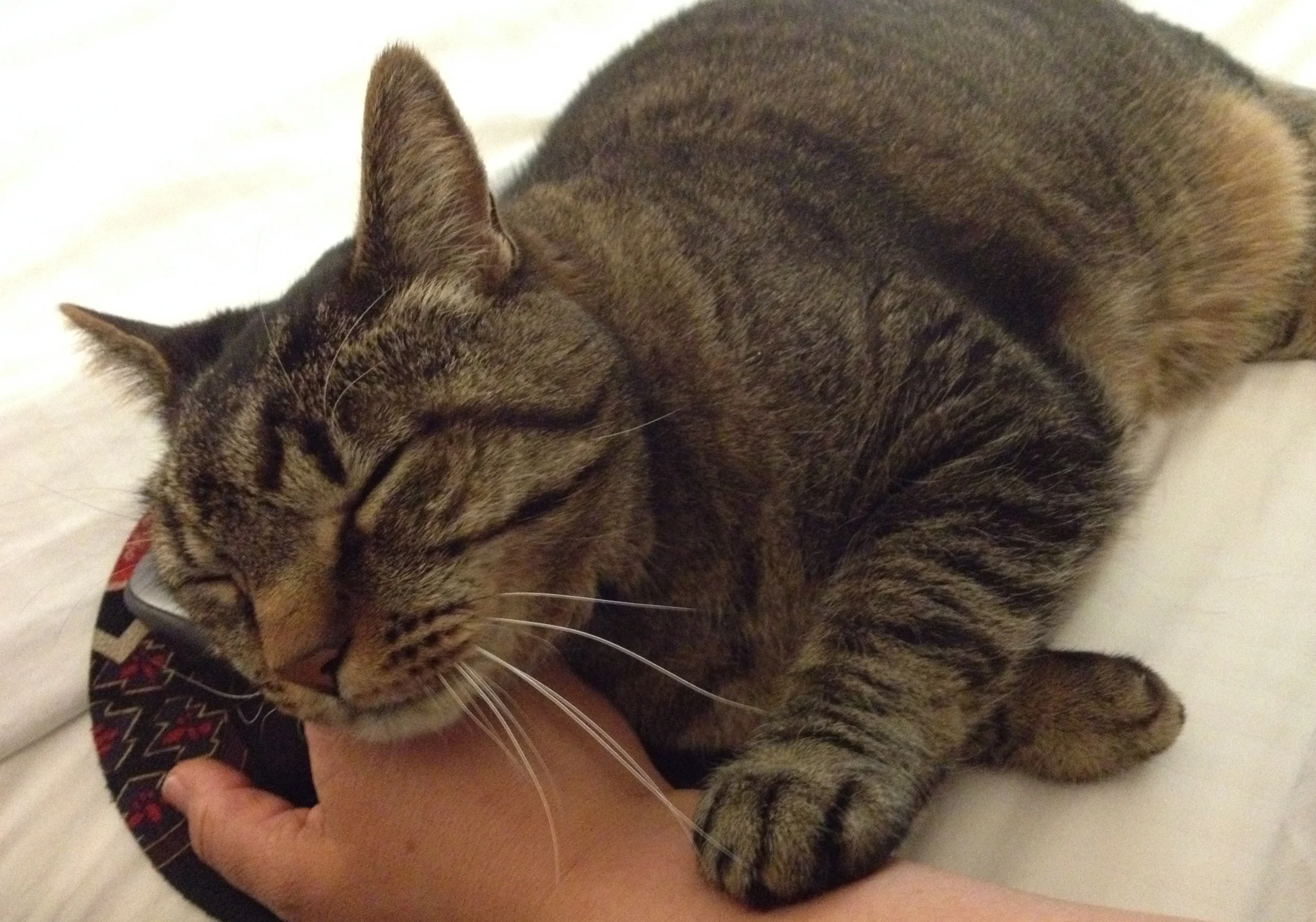  Road trip reassurance 