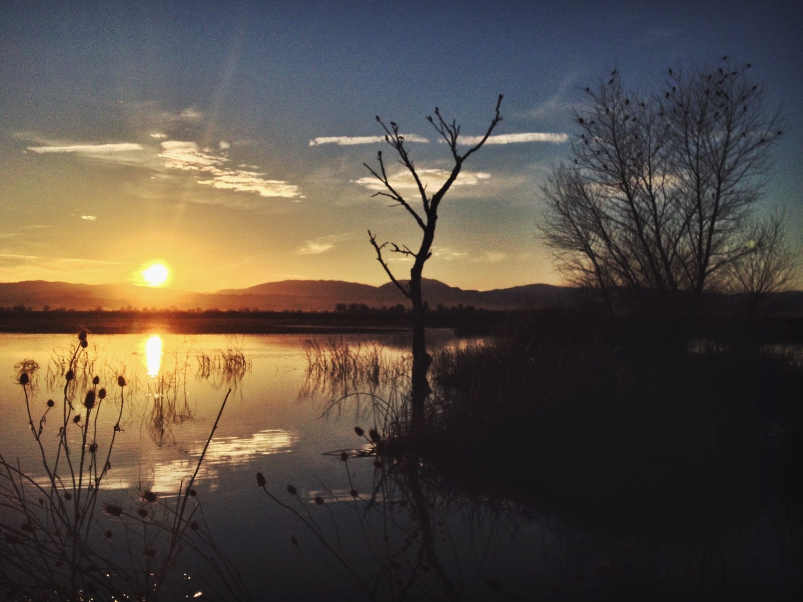  Sacramento Wildlife Refuge 
