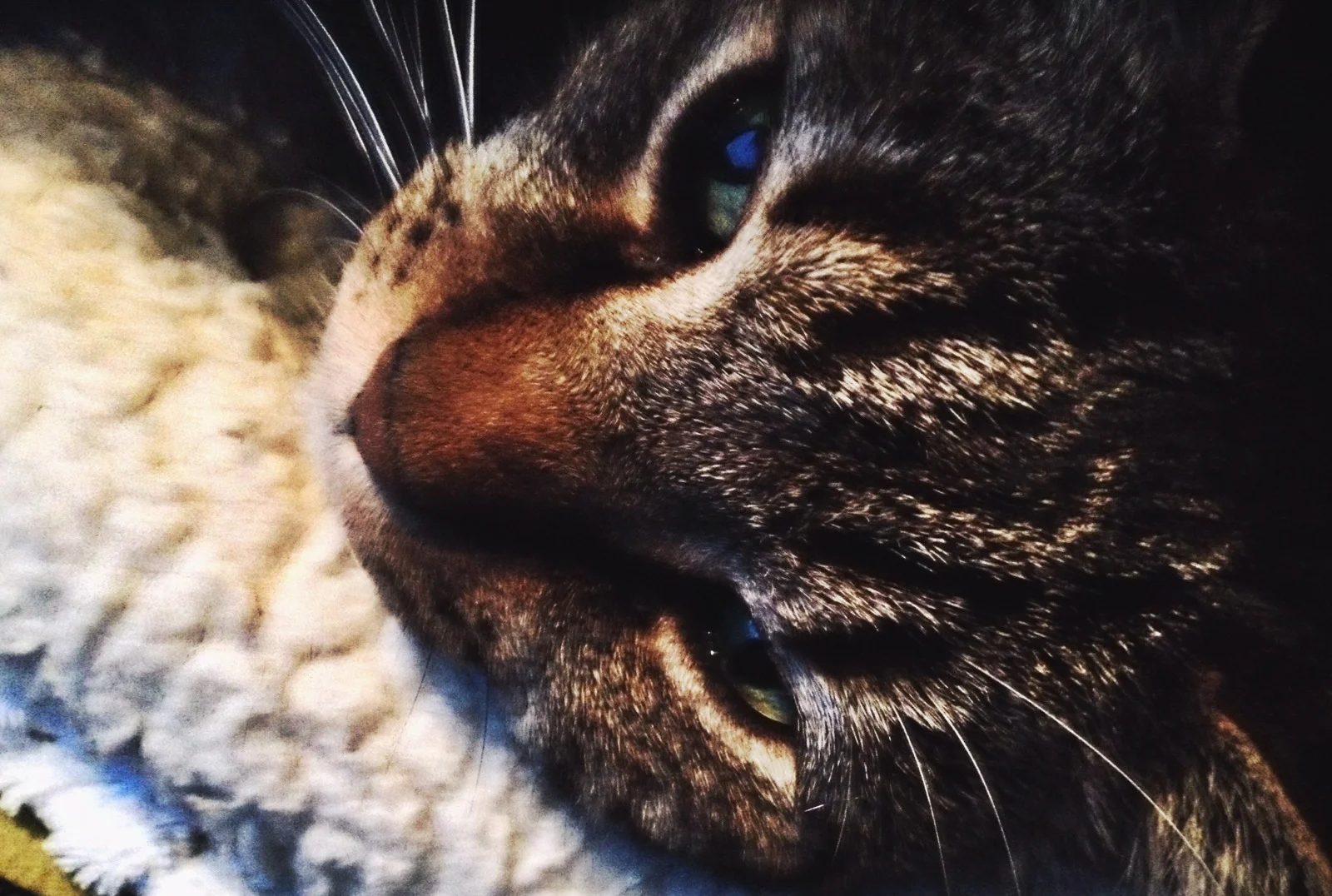  Tacoma traffic ennui 