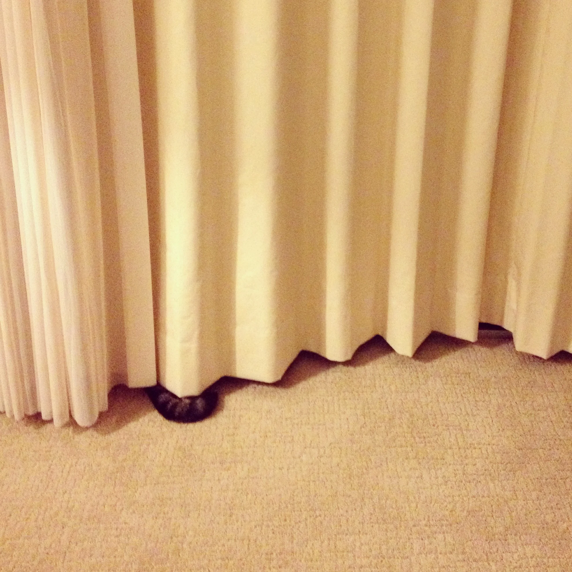  Baby coping as best as he could. 