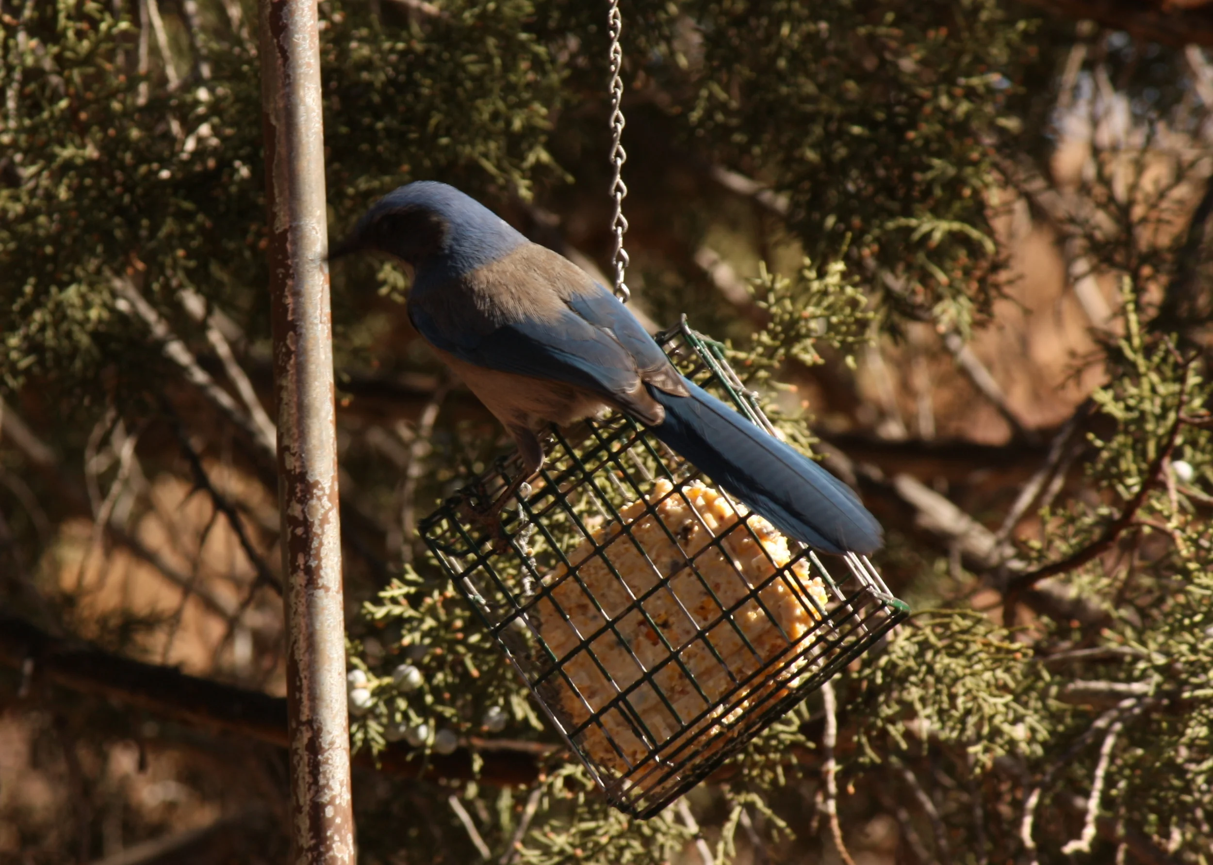 Red Rock State Park-003.JPG