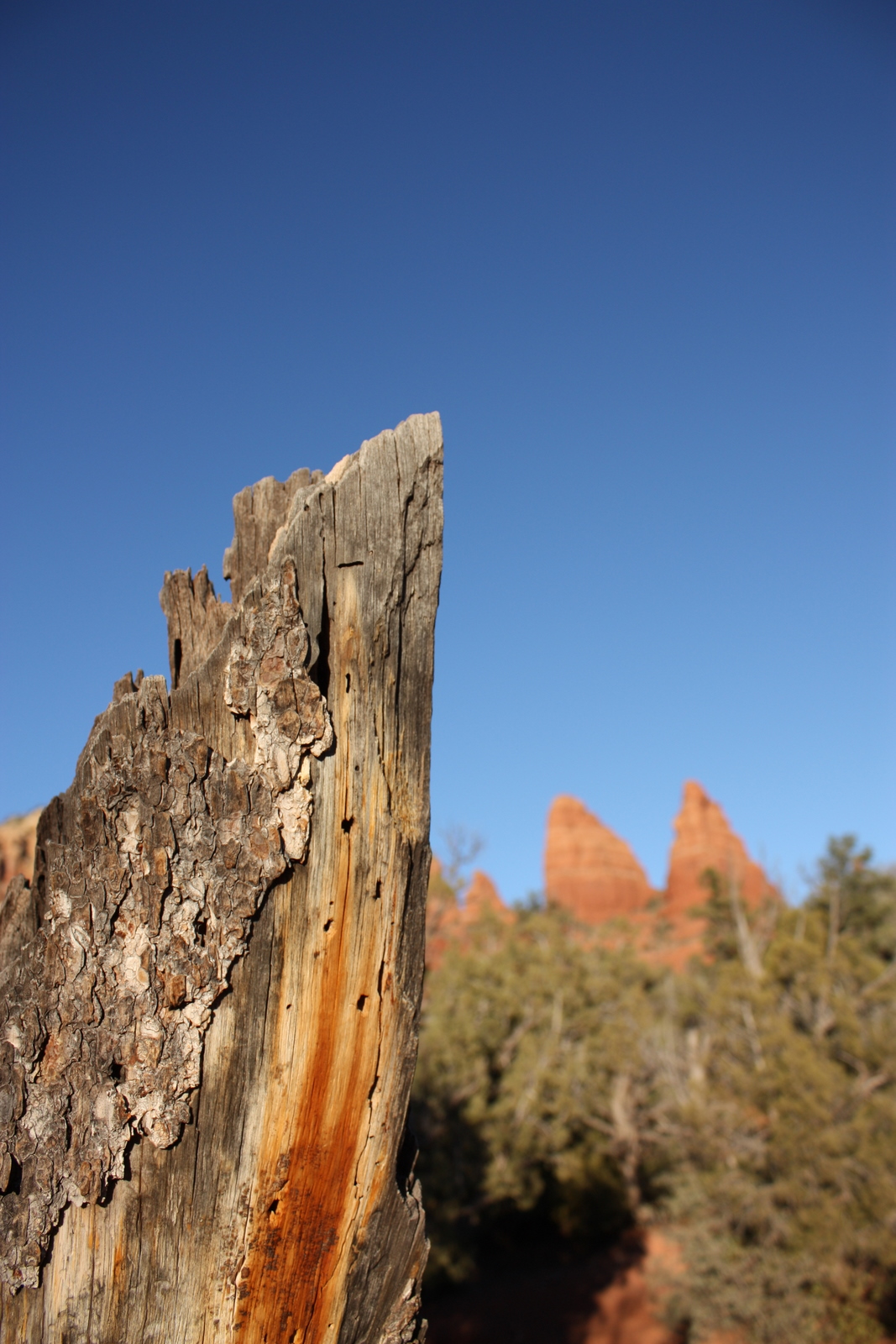  Back to the red rock area for a sunnier and less slushy trail, the Little Horse Trail. 