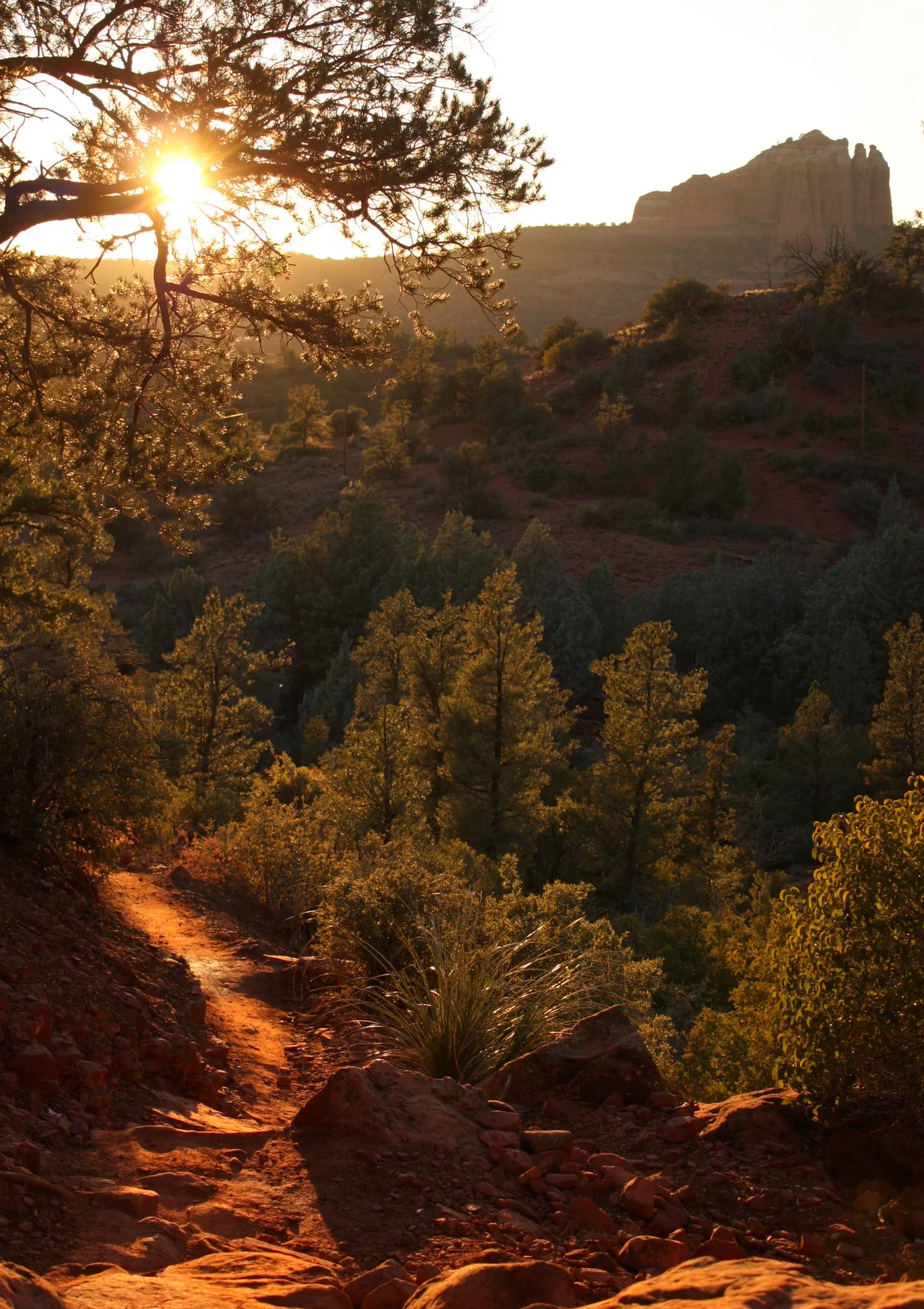  Although our failed hike meant we got started late in the day, it turned out perfectly because the setting sun makes the red rocks ridiculously beautiful. Marya and I kept saying it just didn't seem like it could be legal for something to be so glow