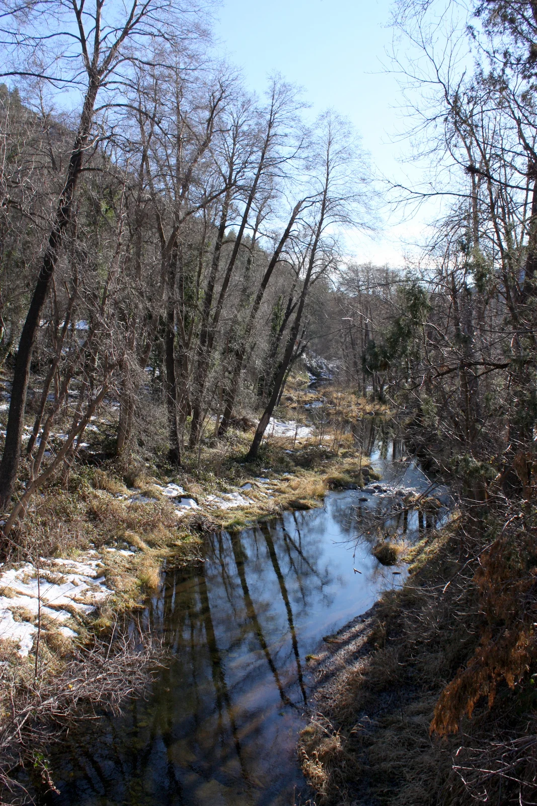  From there, we headed up to Sedona, where Libby and Marya were subjected to a typical Leslie trip event: the abortive attempt. I had thought that the West Fork Trail would be a great hike for us, but that snow I'd seen a few weeks ago hadn't yet mel