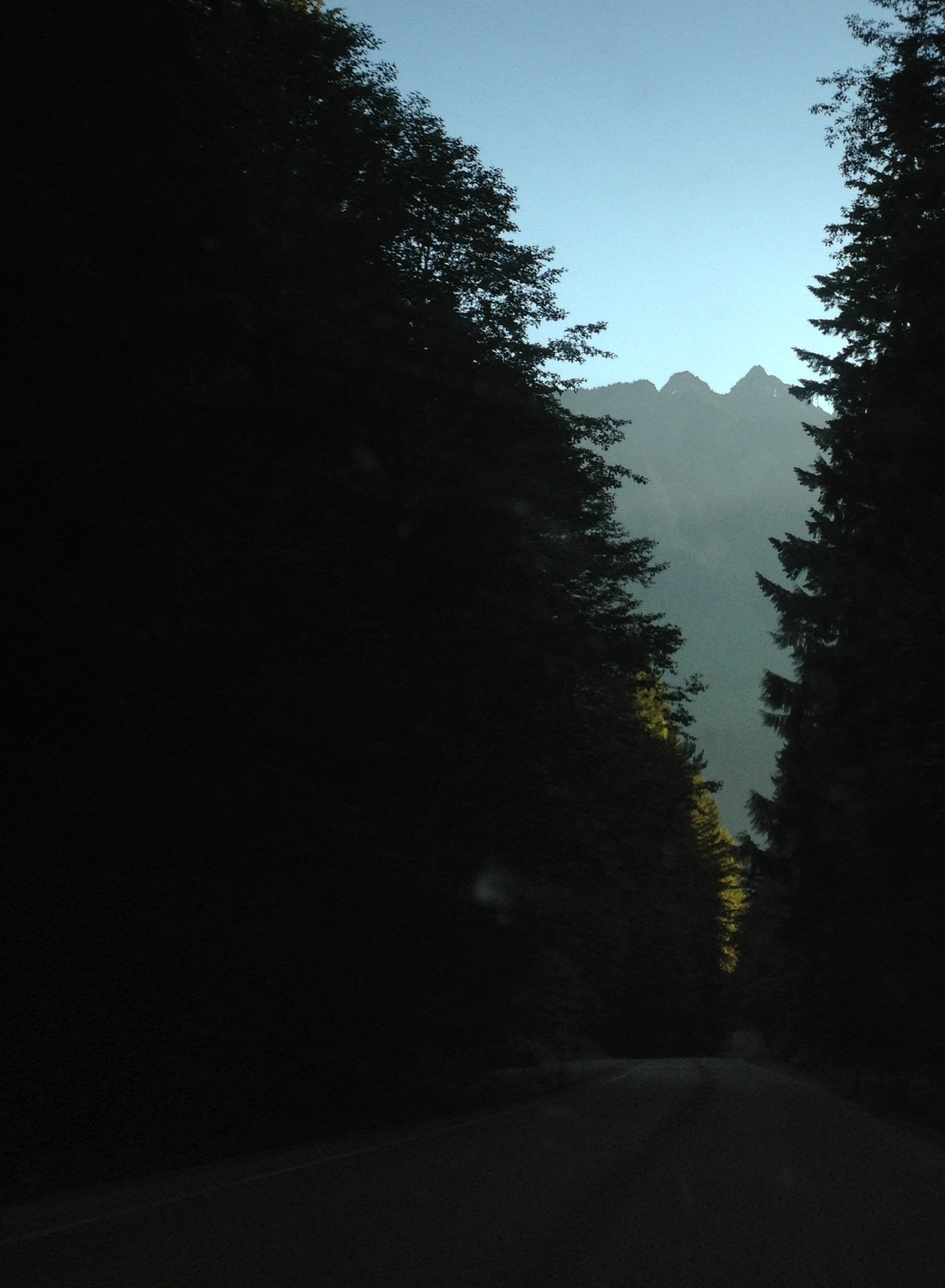  Due to terrible back pain, I had to leave early in summer 2013. 