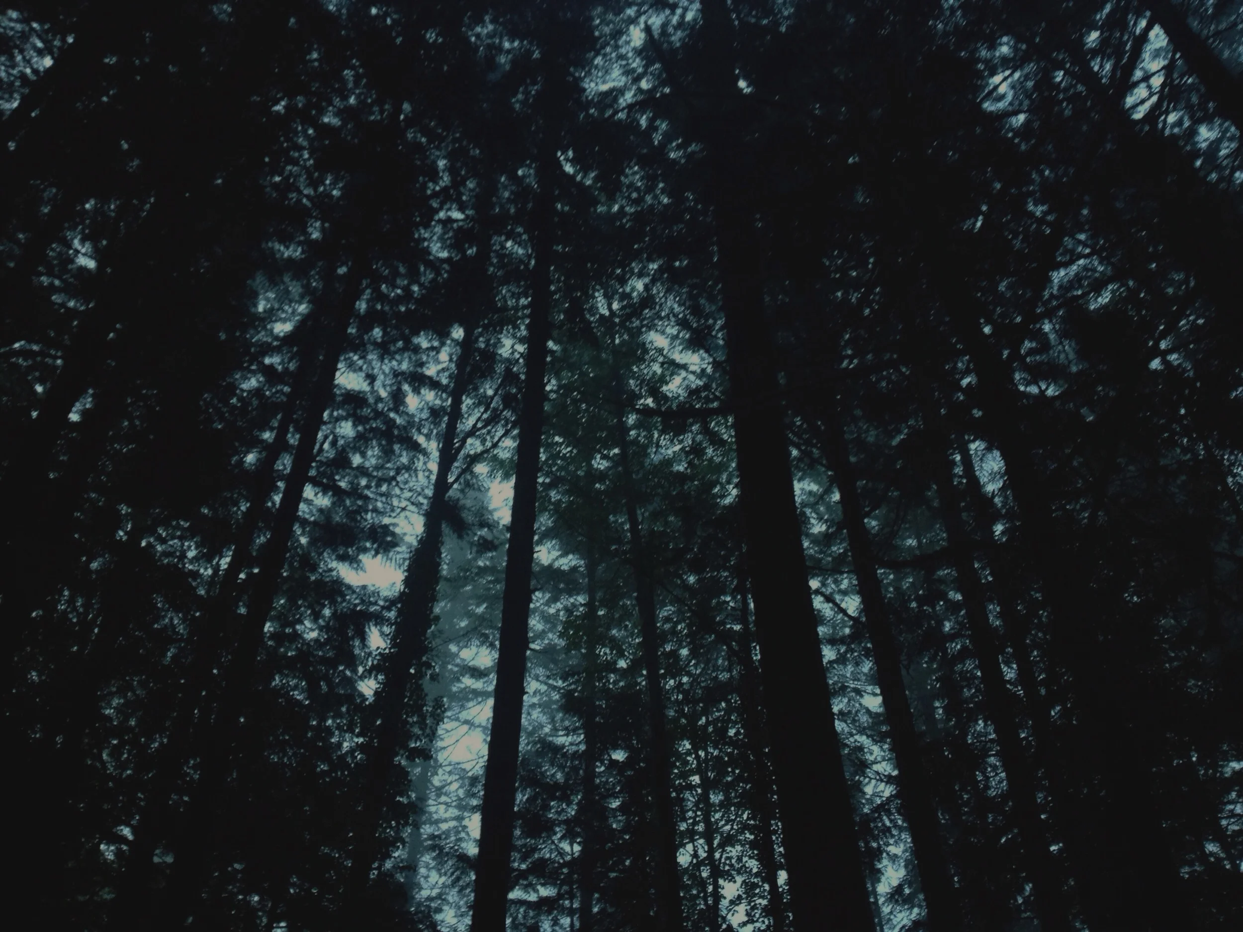 Rainy campfire-002.JPG