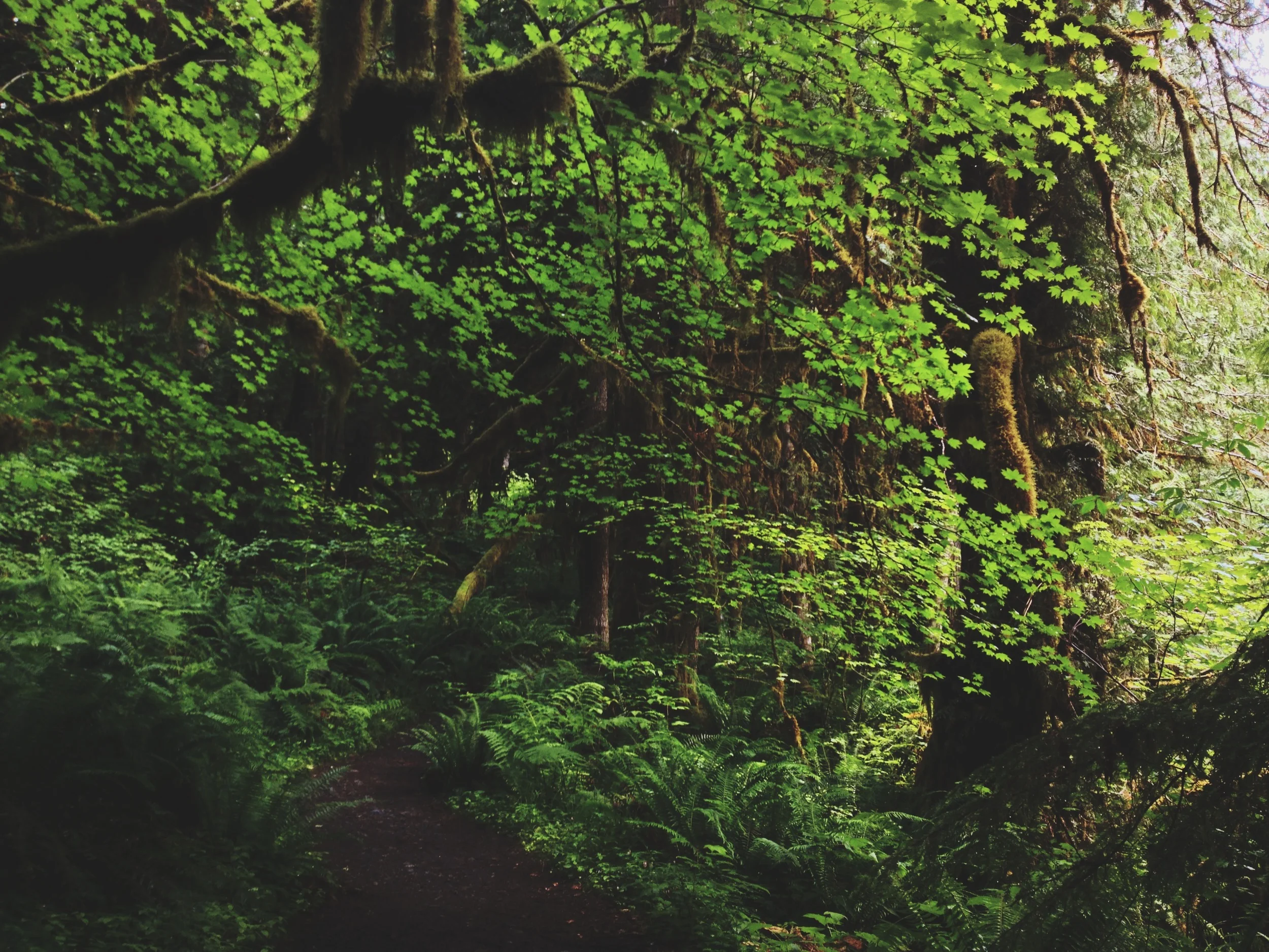 Horseshoe Bend Trail-001.JPG