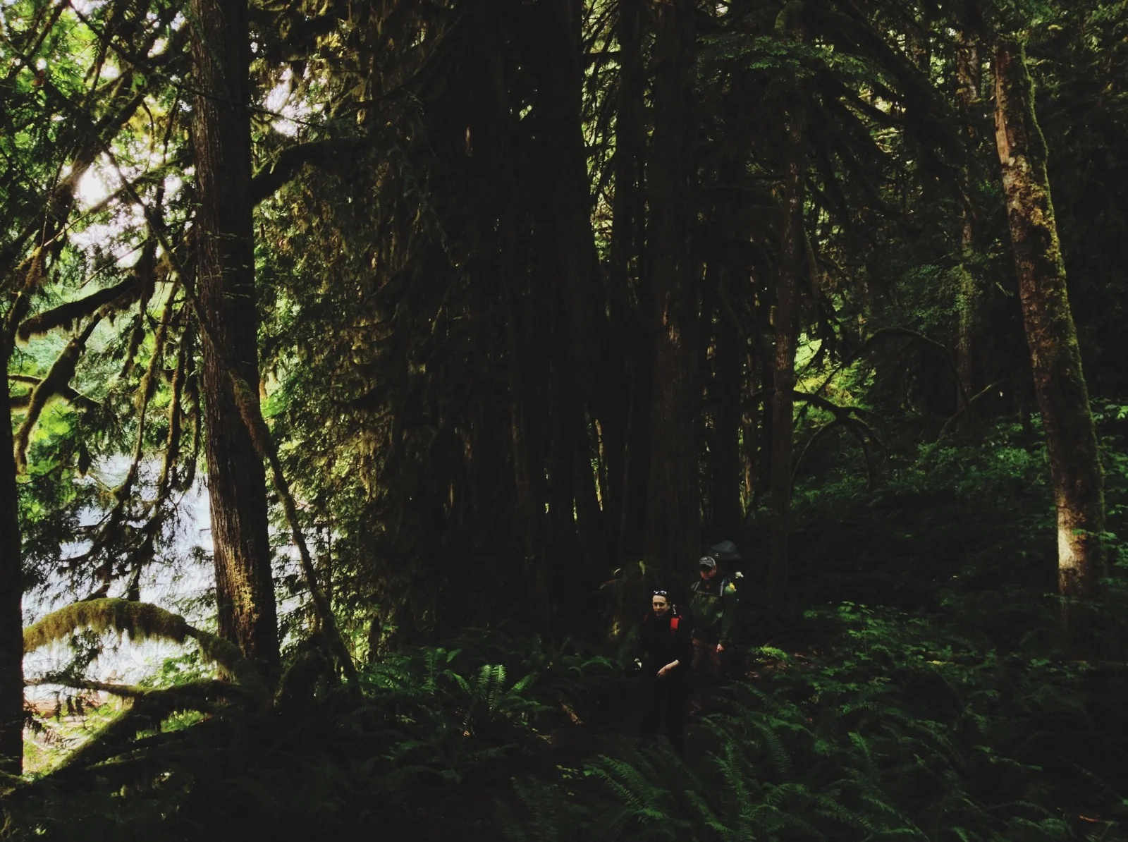 Horseshoe Bend Trail-002.JPG