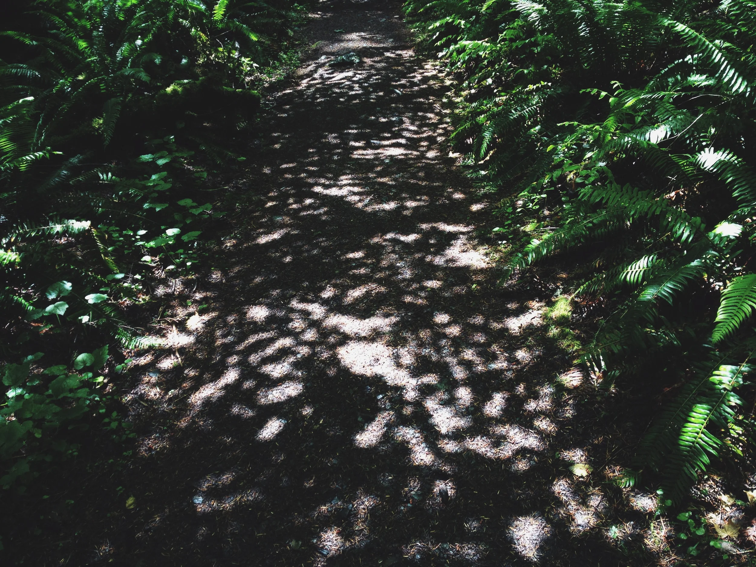 Horseshoe Bend Trail-003.JPG