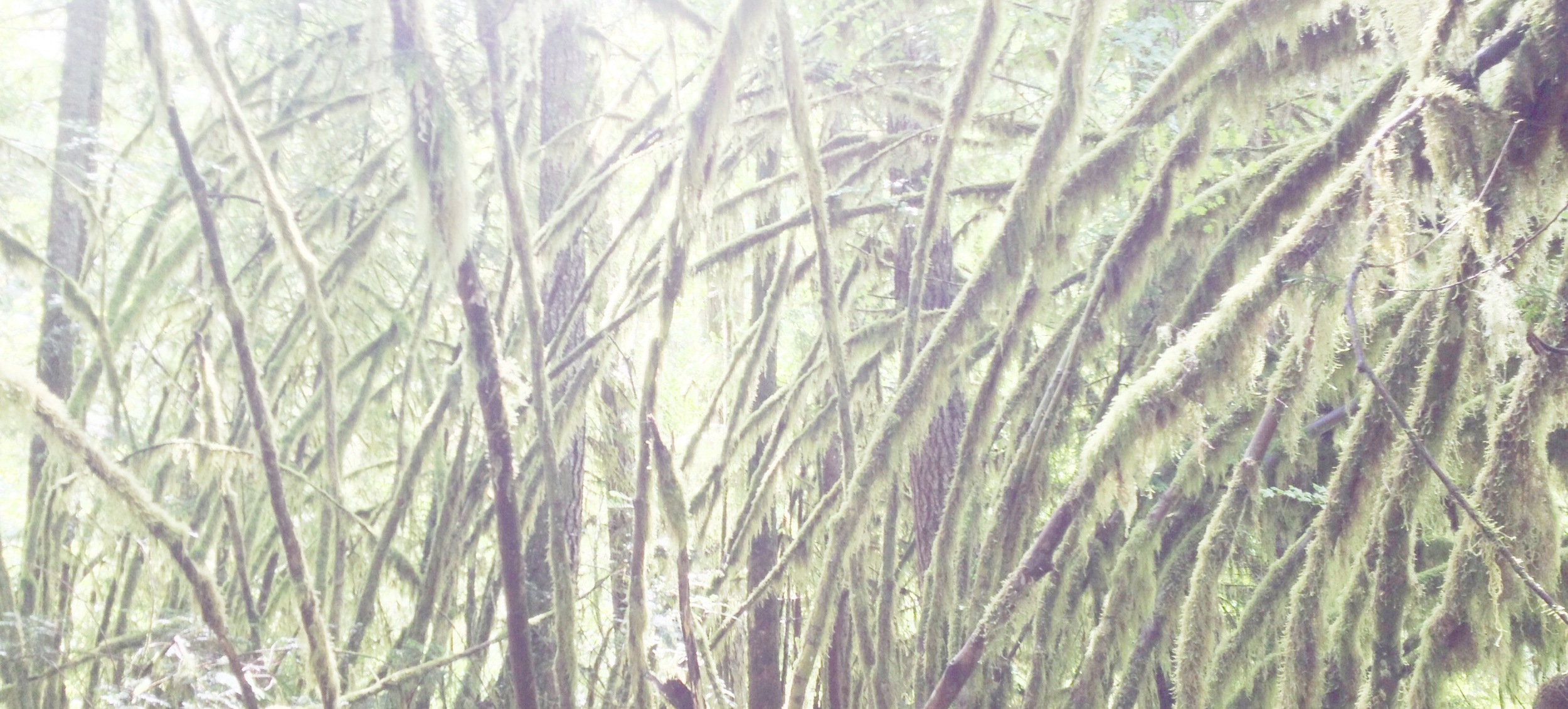 Horseshoe Bend Trail-004.JPG