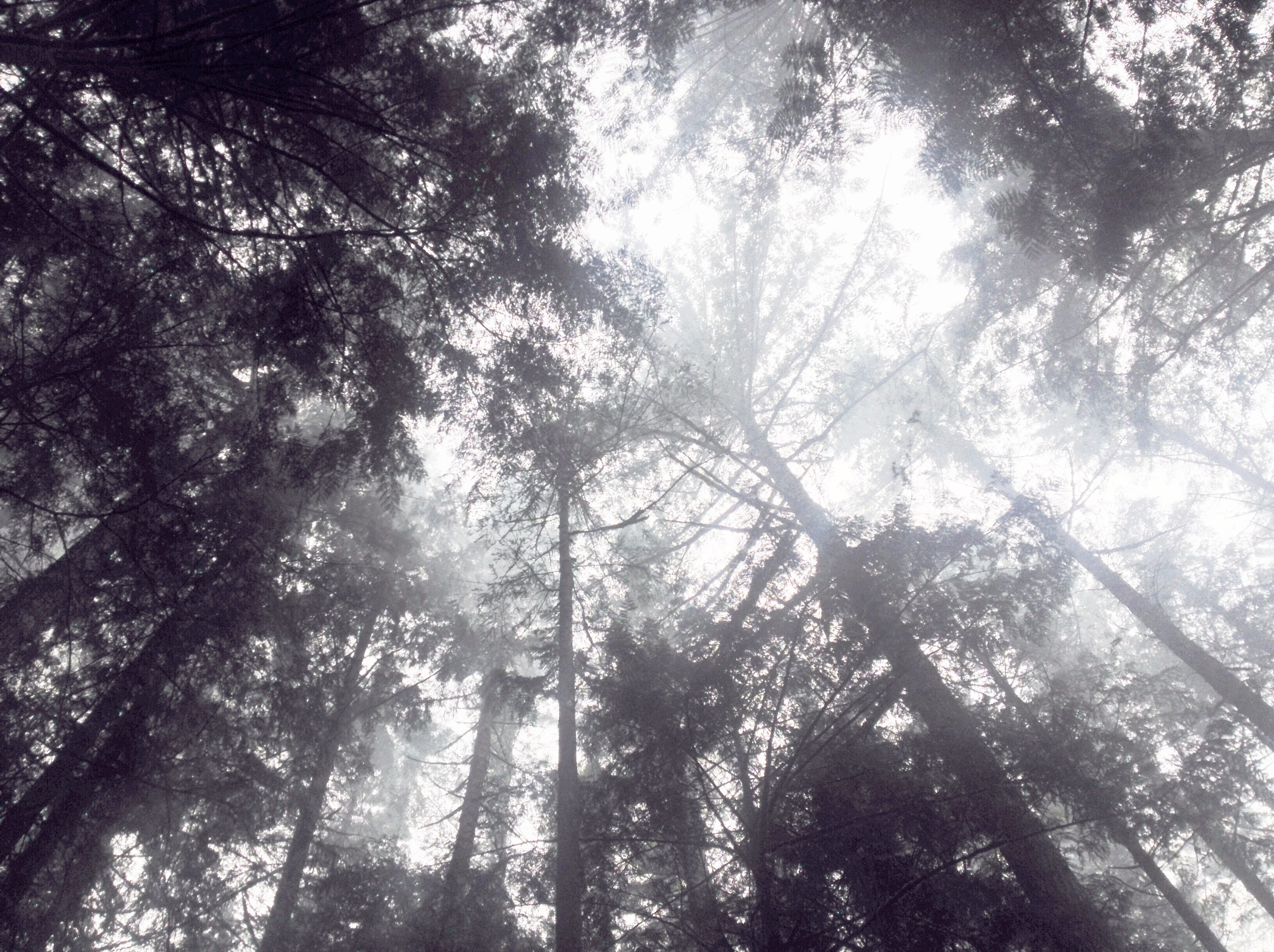  Back for a rainy campfire 