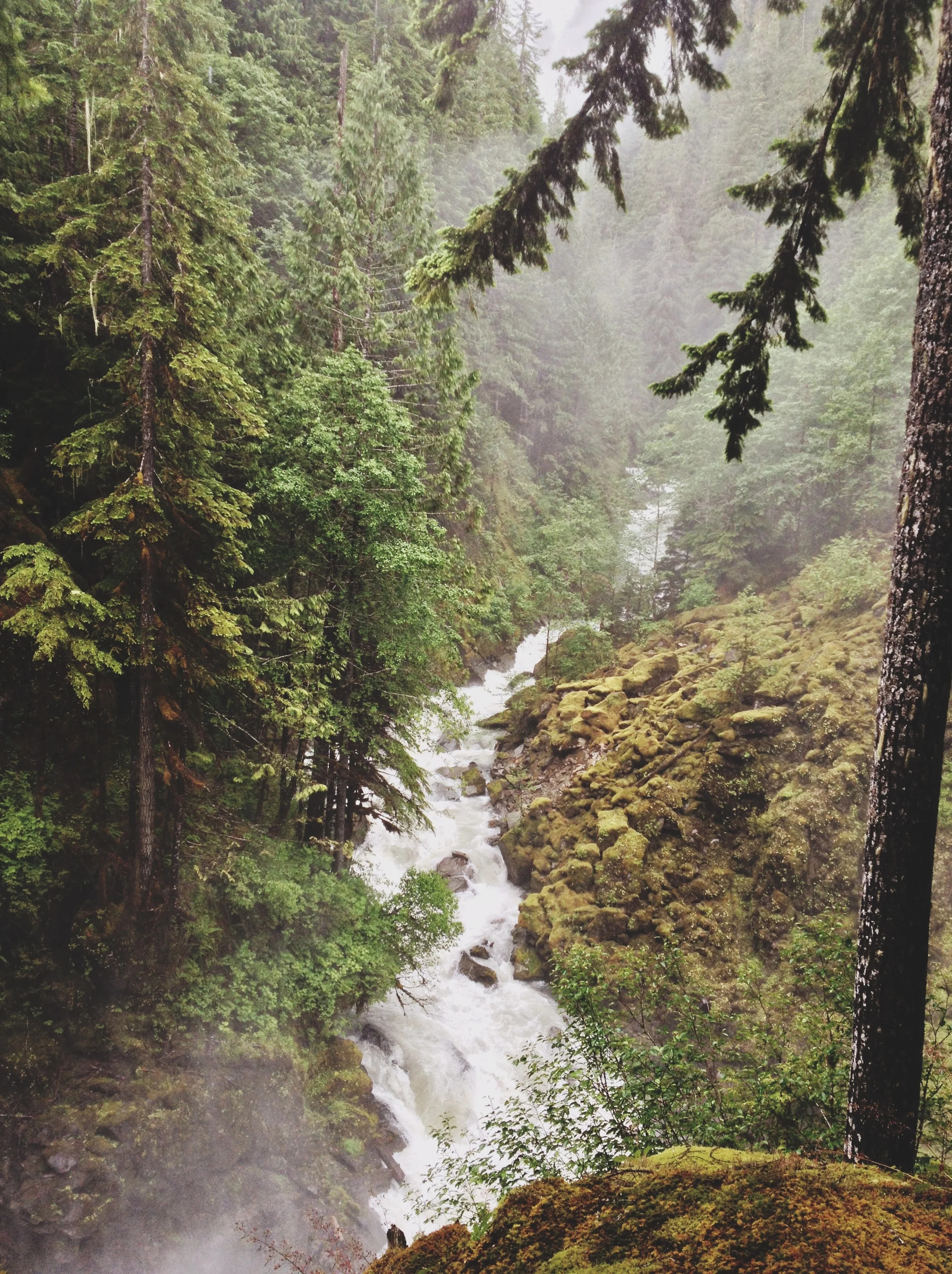 Nooksack Falls-002.JPG