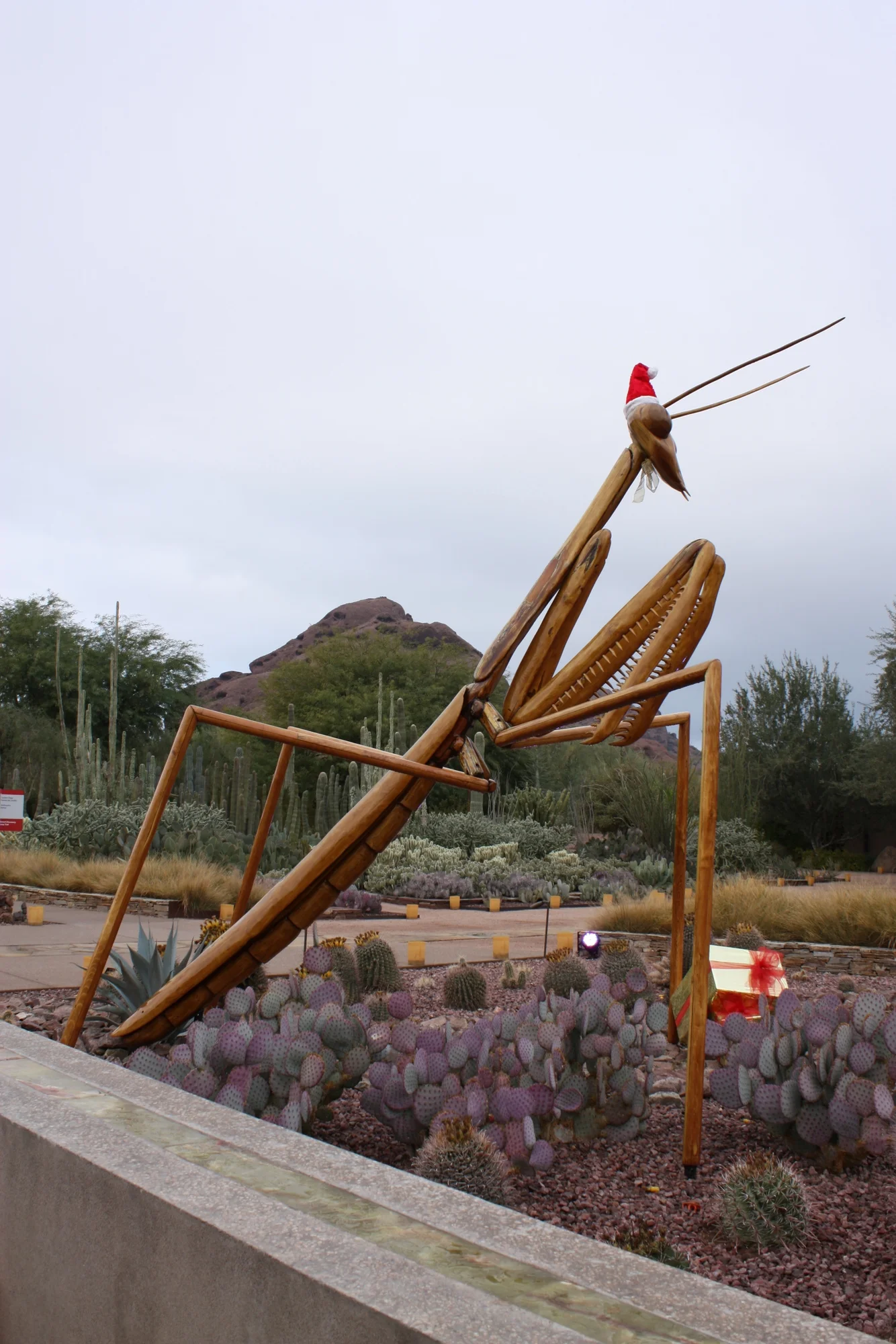  Praying mantis - one of David Rogers' "Big Bug" sculptures being featured at the garden until 1/16/12 
