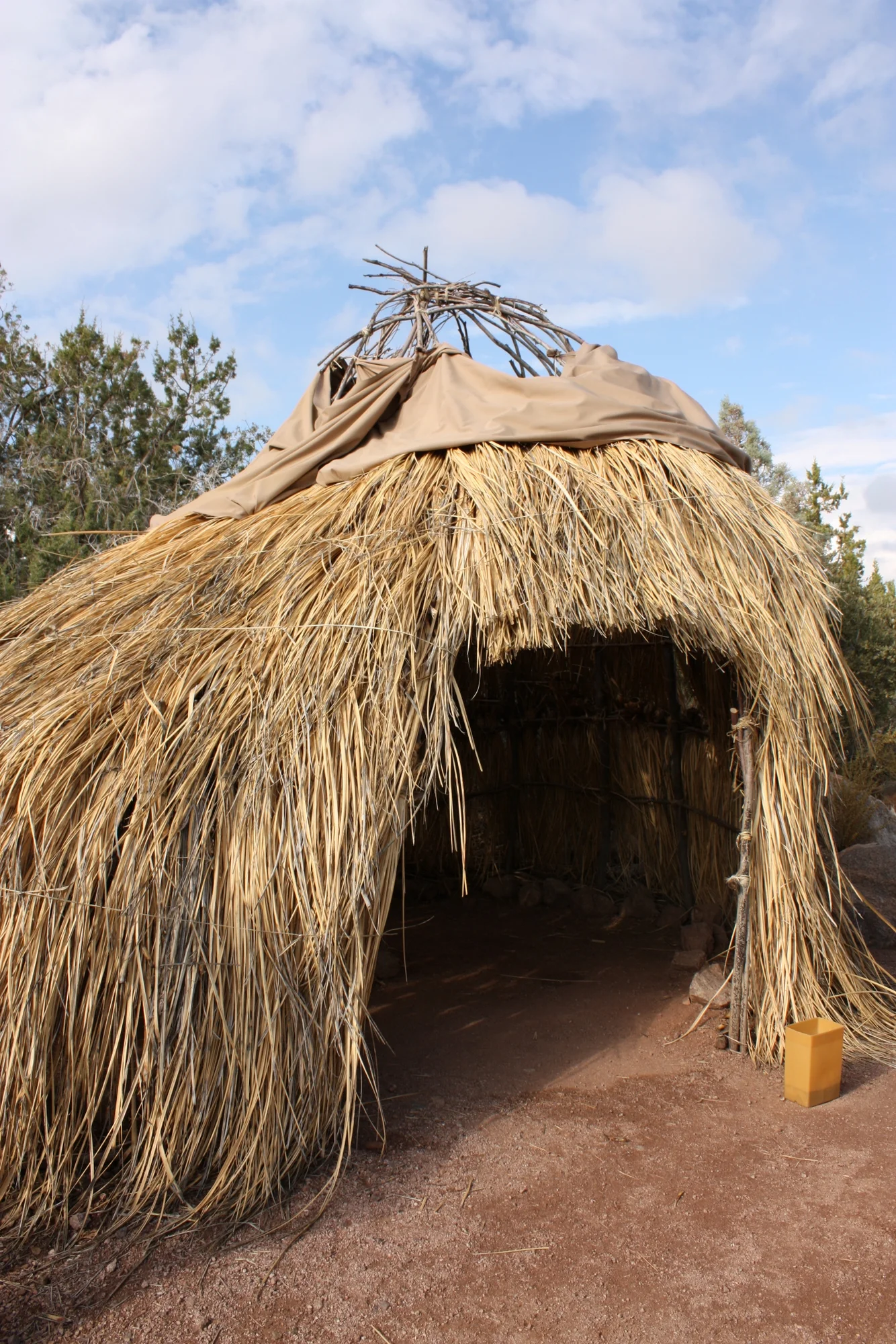  Western Apache Wickiup 