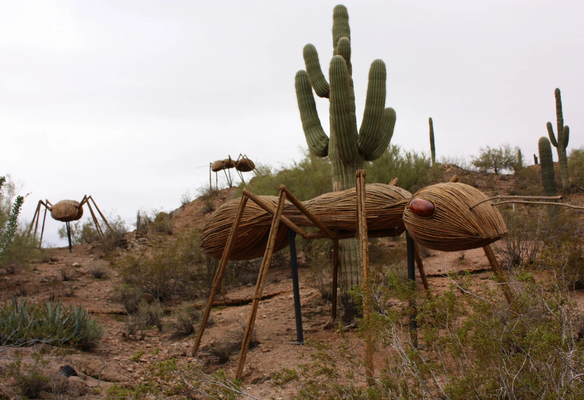 Ants sculpture by David Rogers 