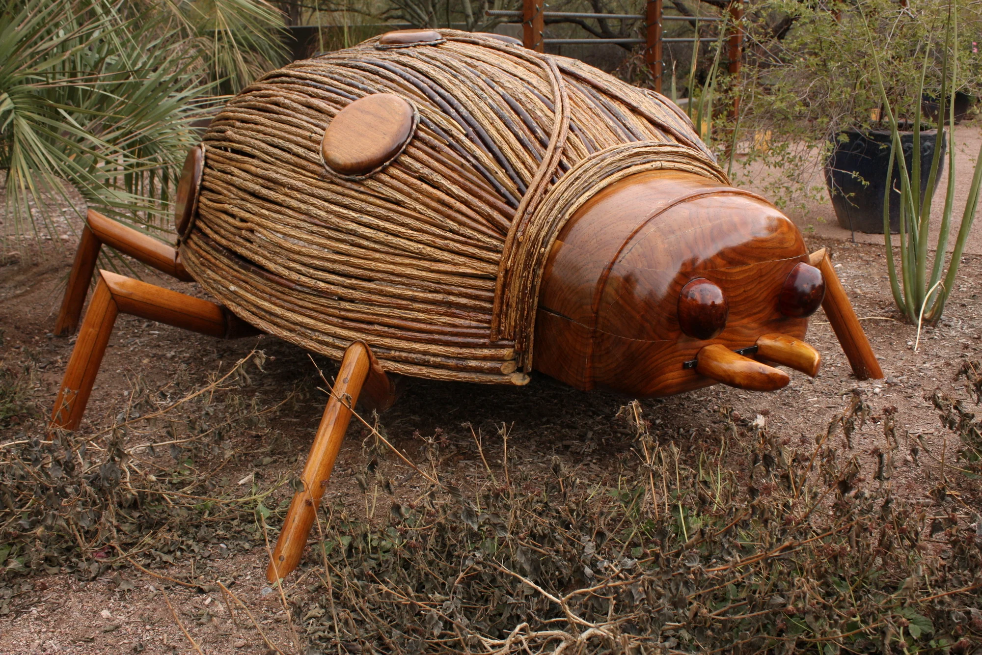  Ladybug sculpture by David Rogers 