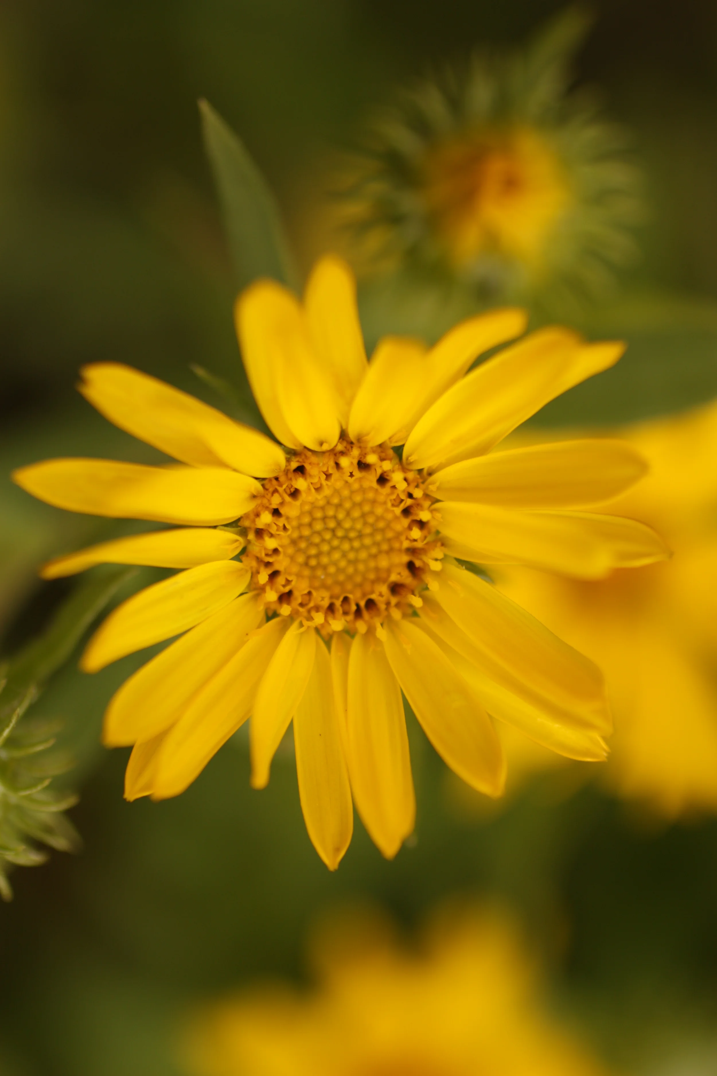 Larabee State Park-004.JPG
