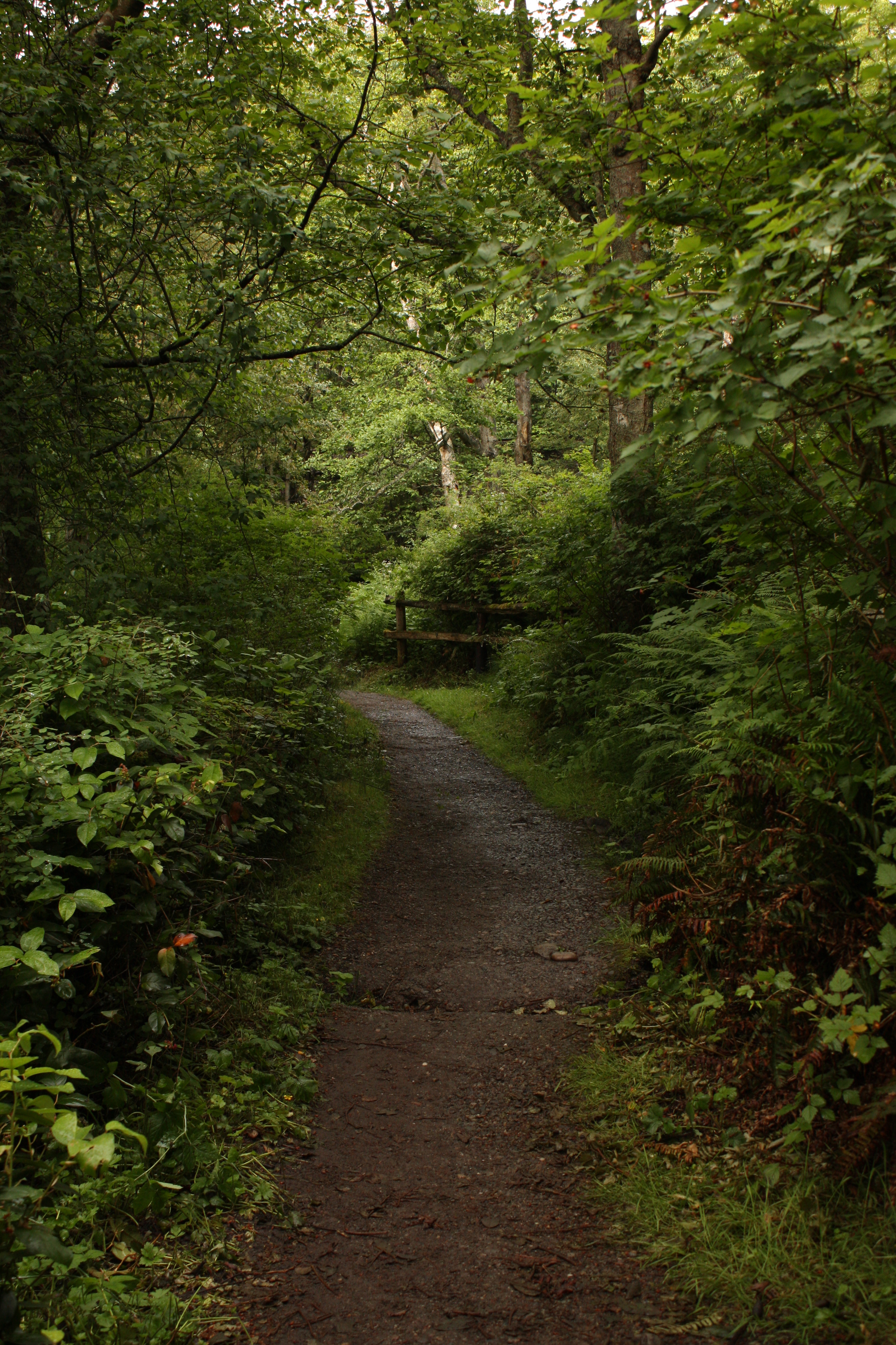 Larabee State Park-003.JPG