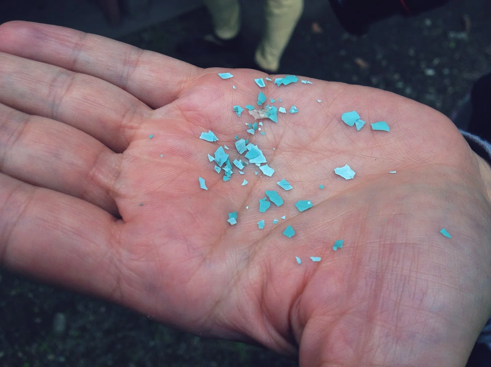 I found an intact half of a robin's egg, which I thought Hazel might be excited to look at but she was mainly excited to crush it to pieces. 