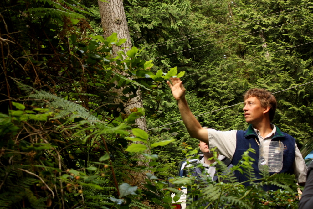 This week, I took the ferry over to Bainbridge Island for a berry foraging class with Langdon Cook, author of Fat of the Land. 