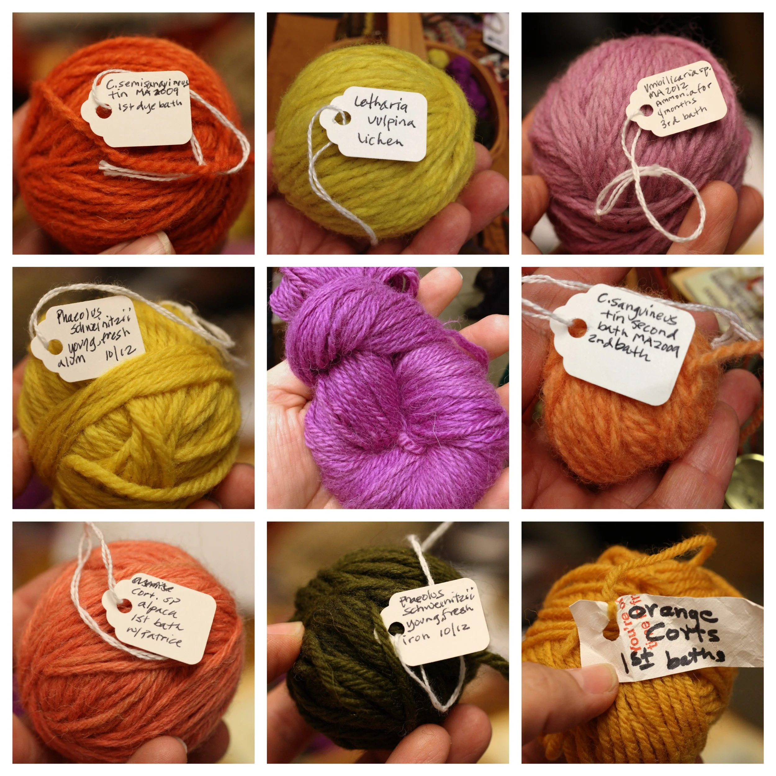  Are you a knitter or otherwise fiber crafty? Did you know that mushrooms and lichen can be used as dyes to make this beautiful array of colors? 