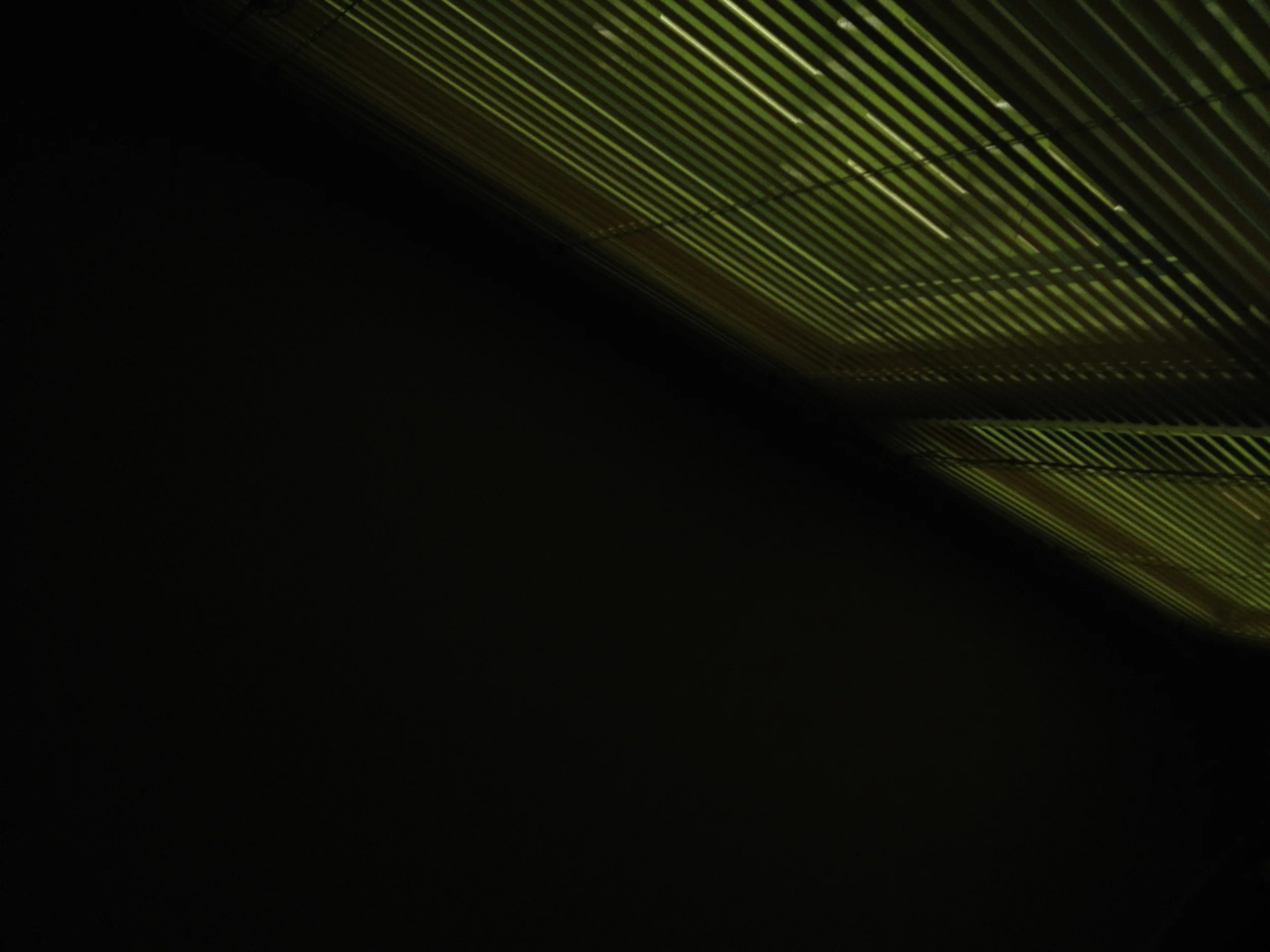 BLINDS.jpg