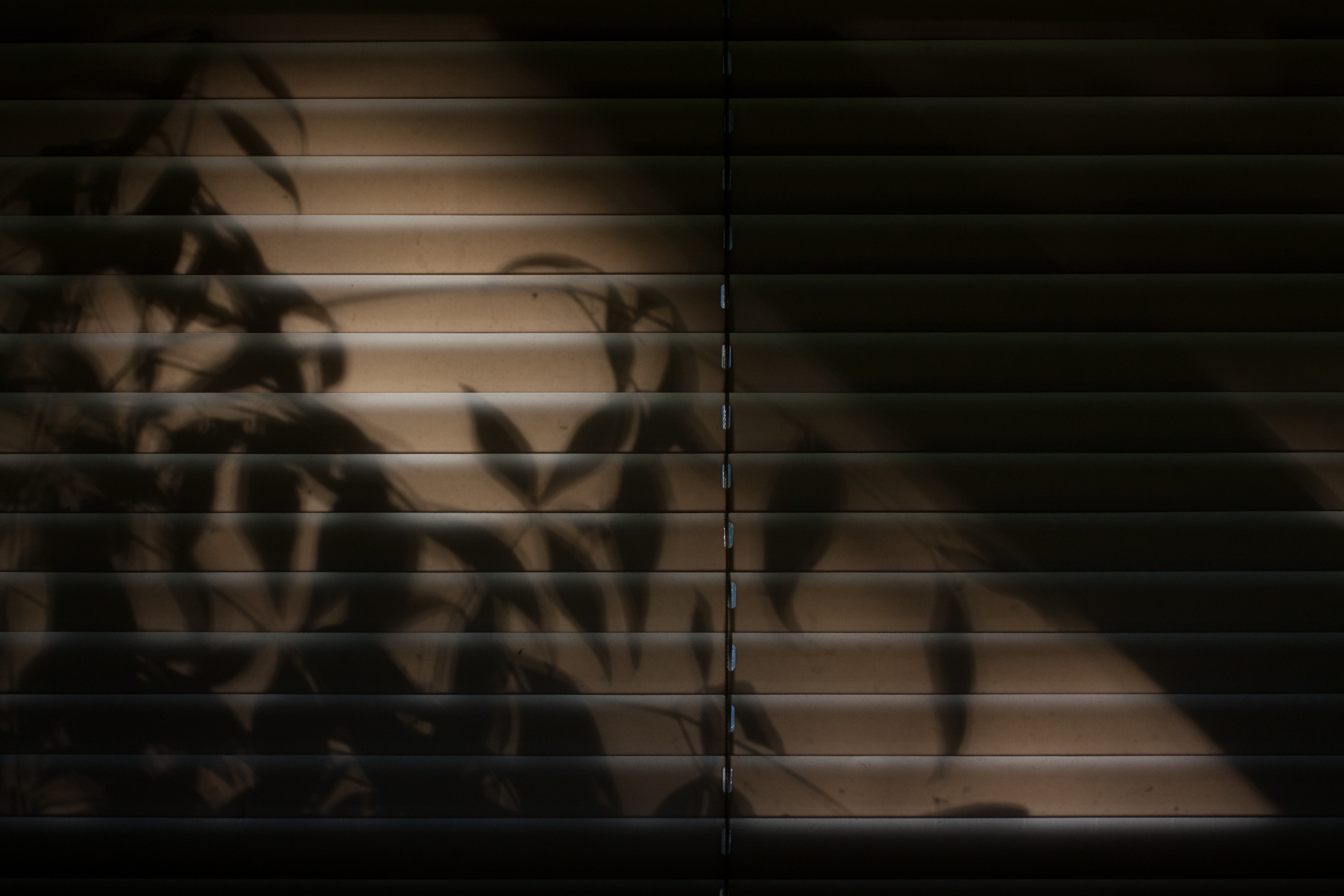 HOUSEWORK-001 (2).jpg