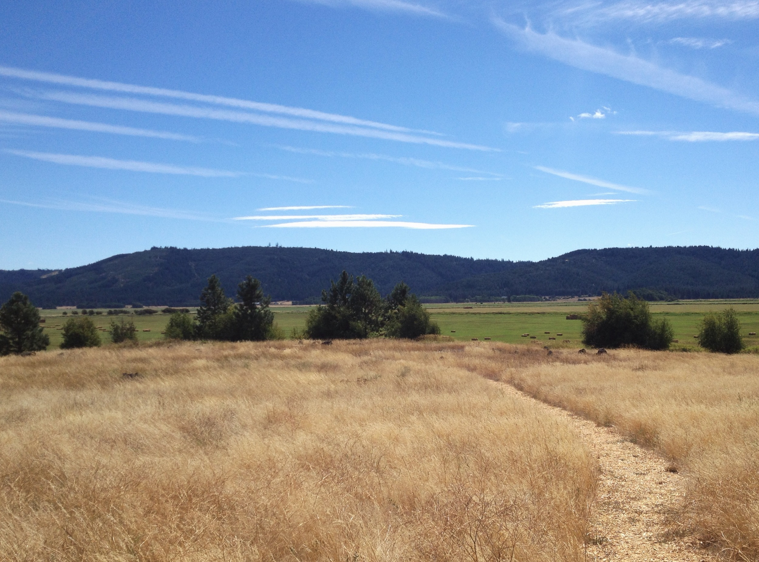 Conboy Lake National Wildlife Refuge