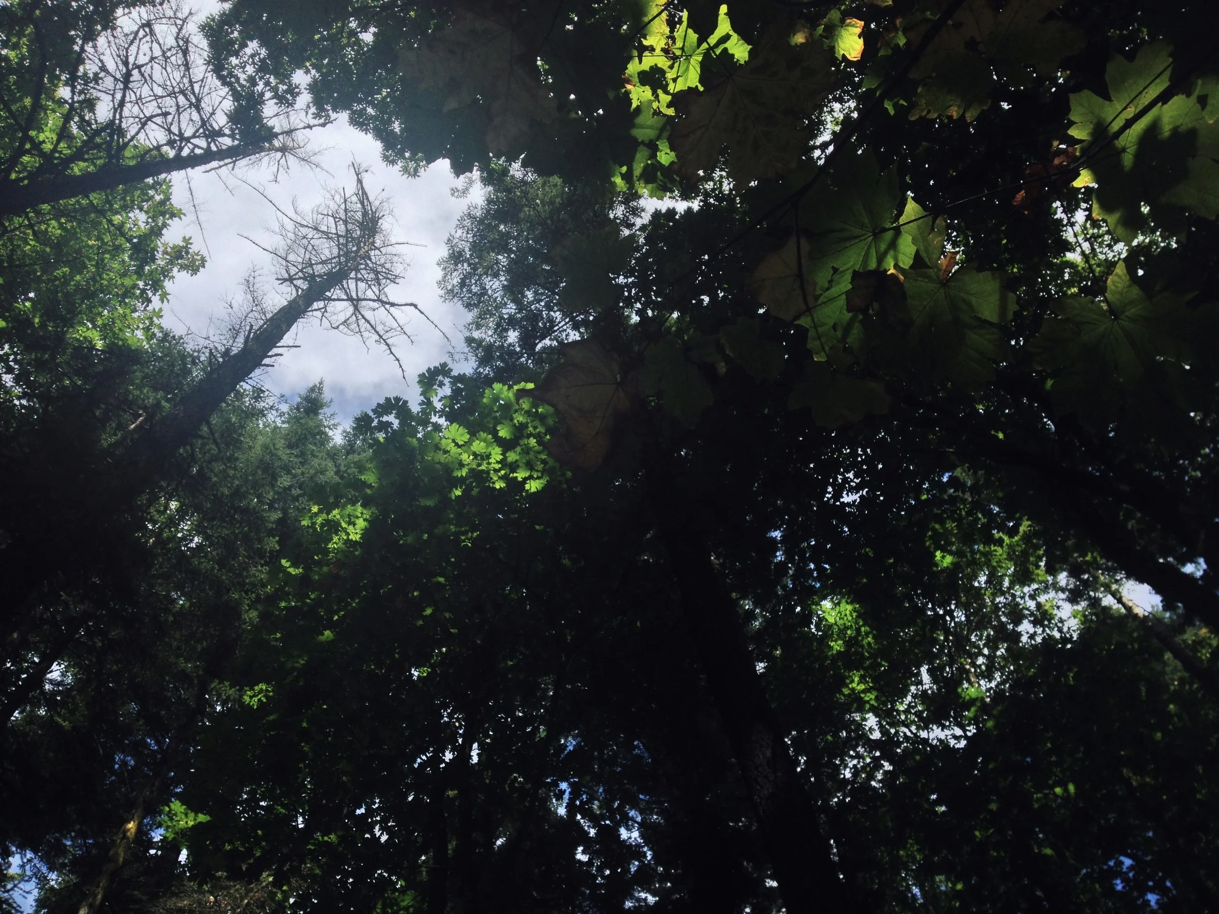 VENDOVI ISLAND-026.JPG