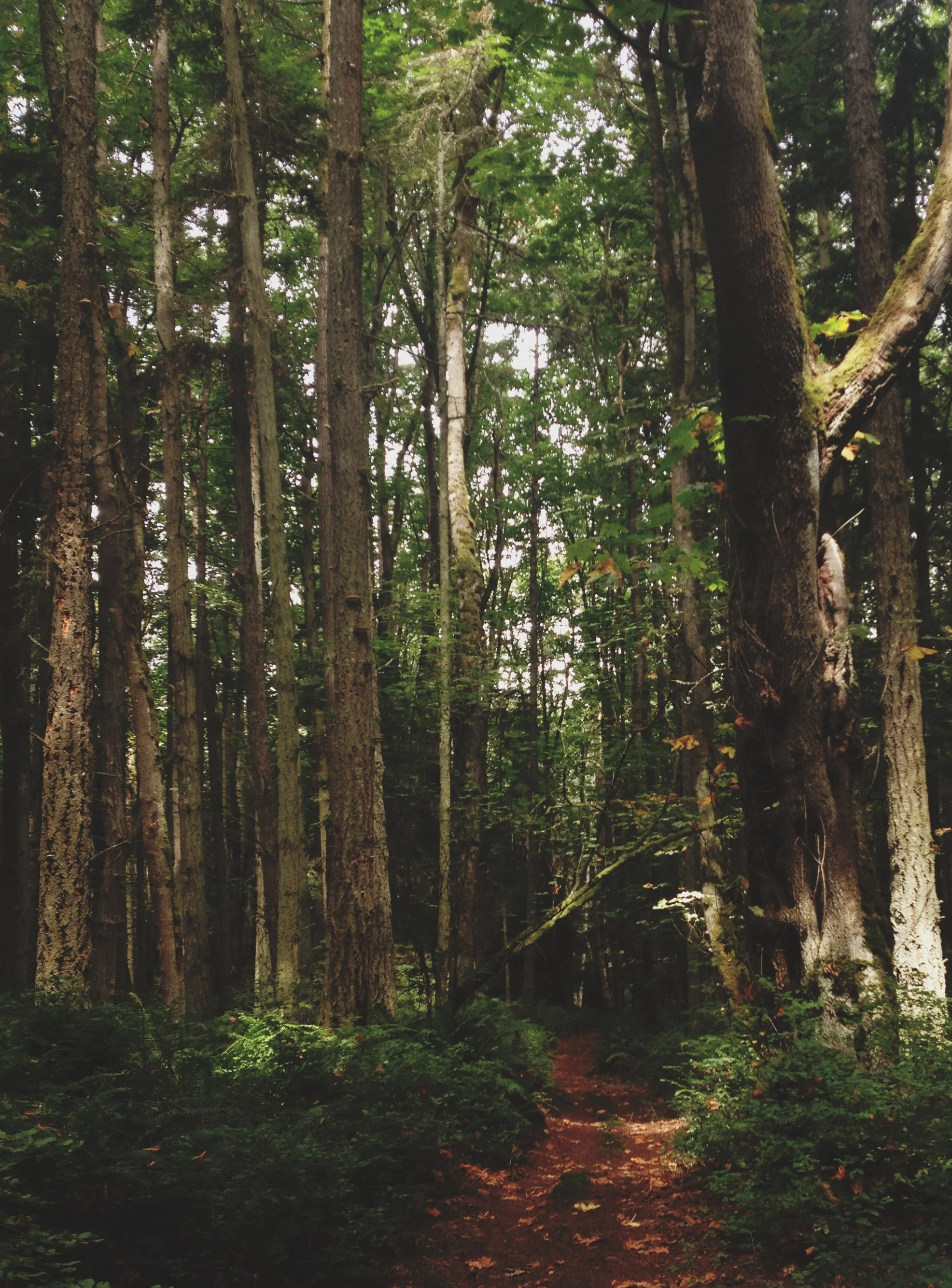 VENDOVI ISLAND-030.JPG